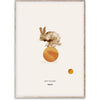 Kolektivní papír Rocky The Rabbit Poster 50x70 cm