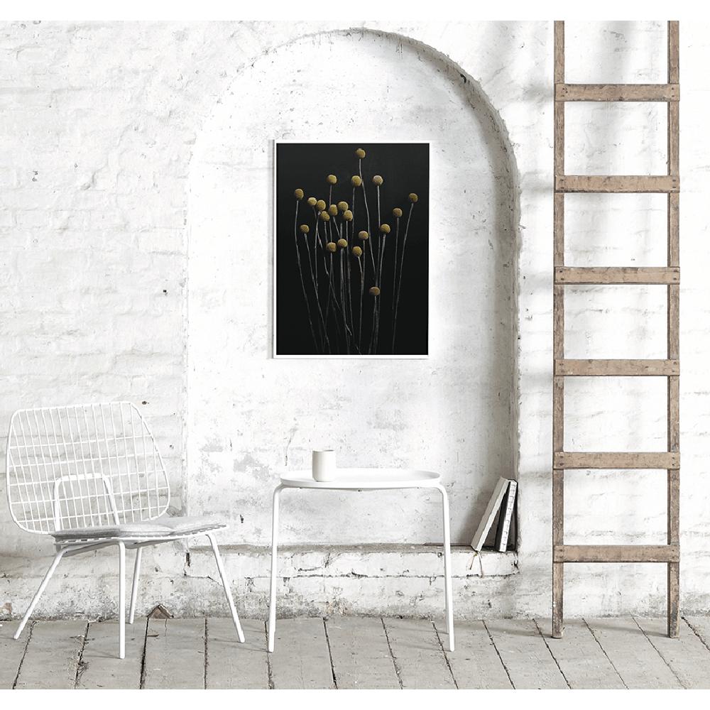 [product_category]-Paper Collective Still Life 01 Poster, 50x70 Cm-Paper Collective-5713450002504-7102-PAP-2