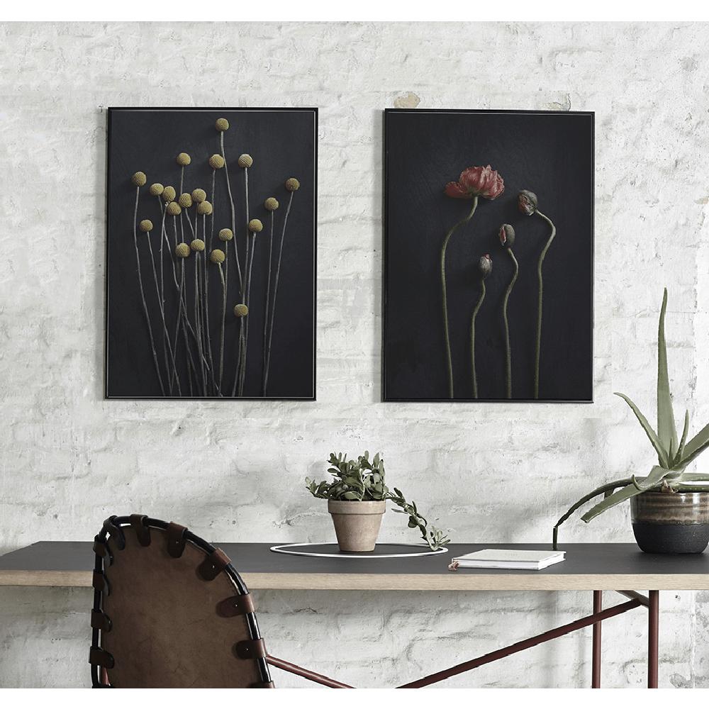 [product_category]-Paper Collective Still Life 02 Poster, 50x70 Cm-Paper Collective-5713450002528-7104-PAP-2