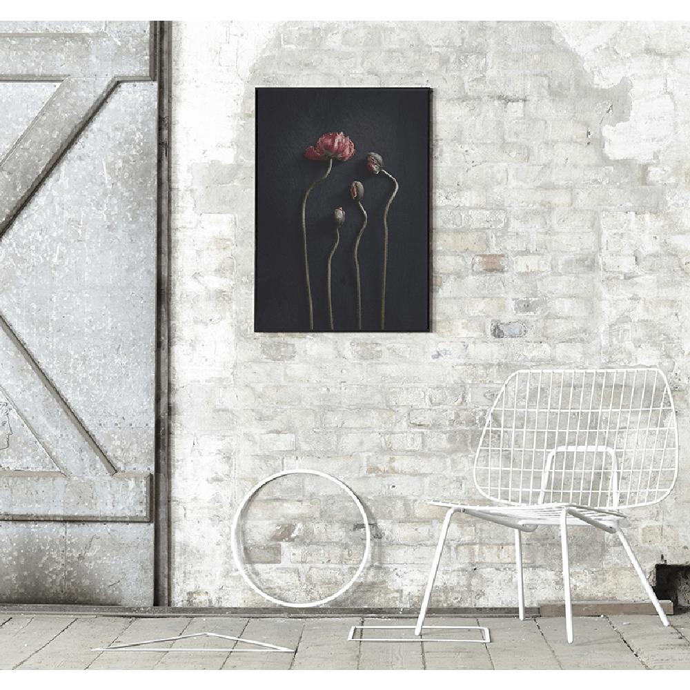 [product_category]-Paper Collective Still Life 02 Poster, 50x70 Cm-Paper Collective-5713450002528-7104-PAP-3