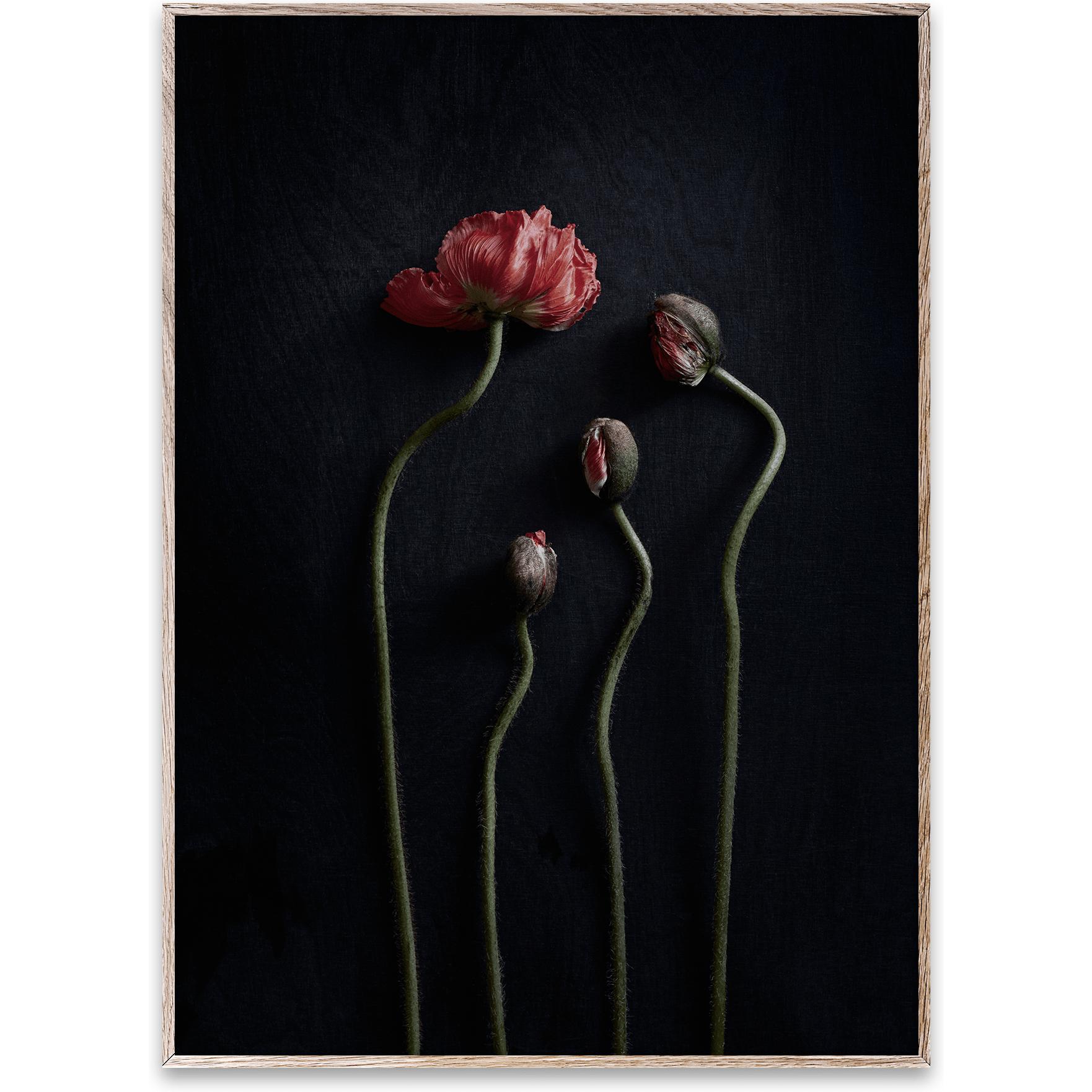 [product_category]-Paper Collective Still Life 02 Poster, 70x100 Cm-Paper Collective-5713450009145-13127-PAP-1