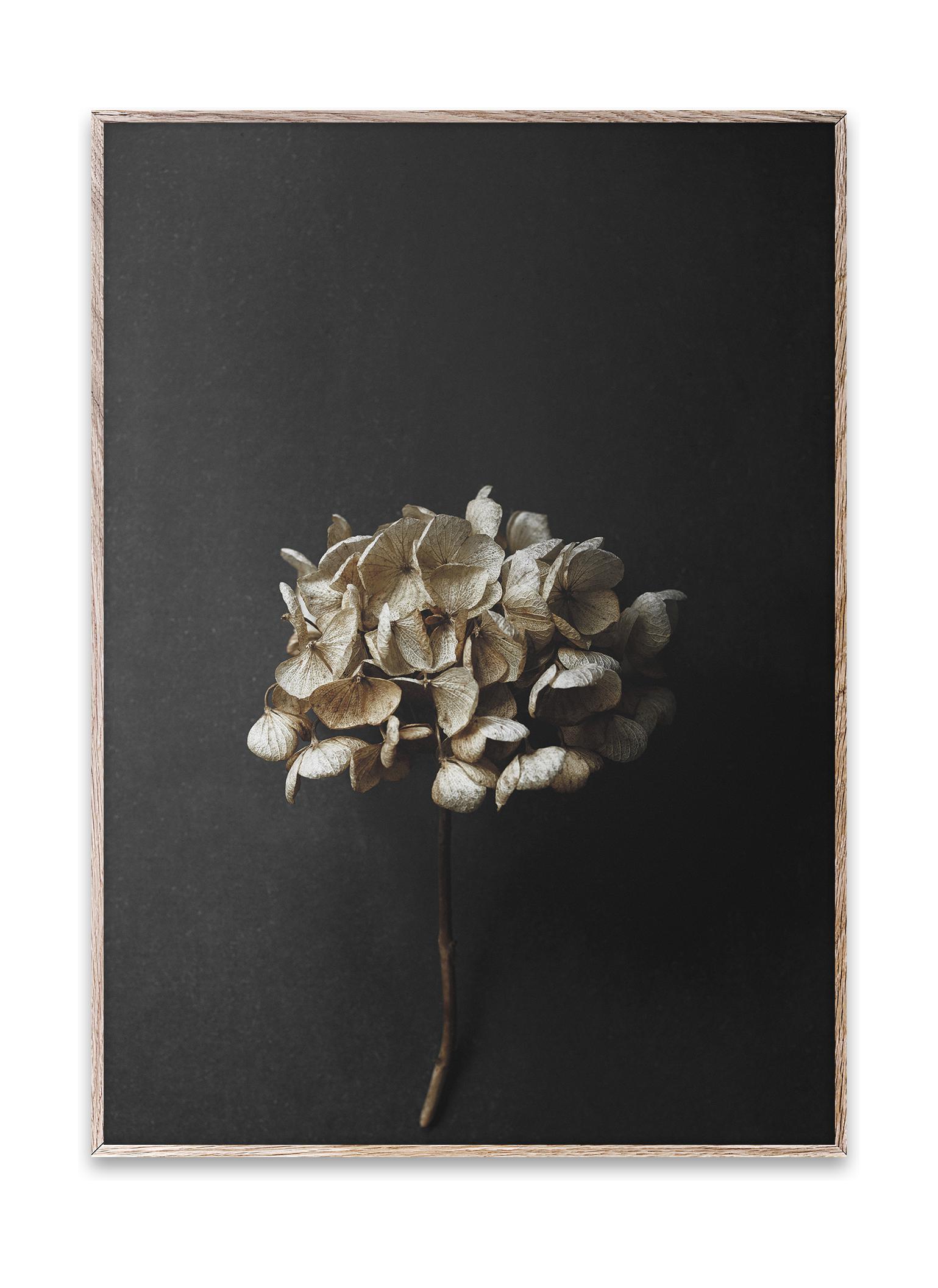 [product_category]-Paper Collective Still Life 04 Poster, 70x100 Cm-Paper Collective-5713450005215-10123-PAP-1