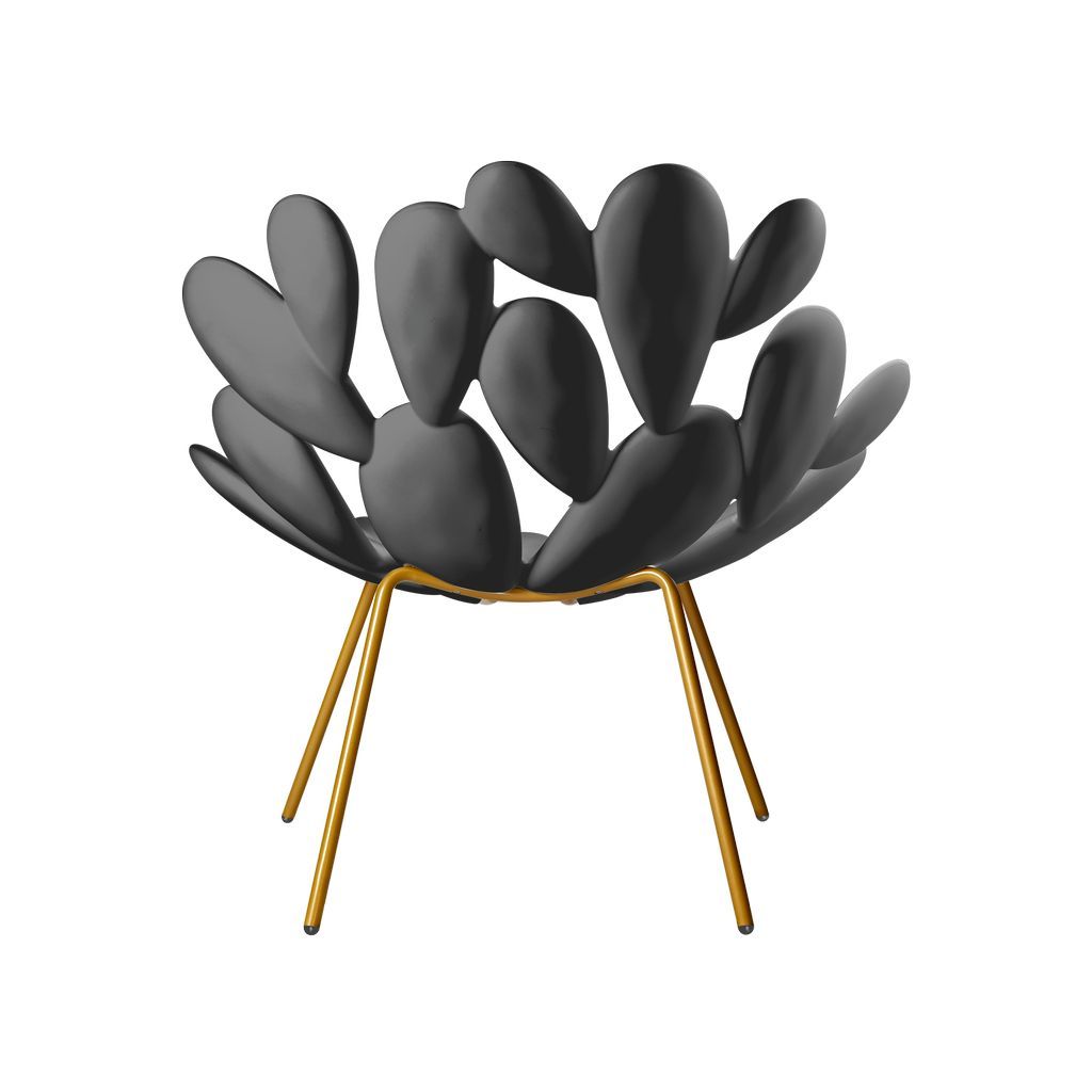 [product_category]-Qeeboo Filicudi Armchair By Marcantonio, Black/Brass-Qeeboo-8052049054829-17001BL-BR-QEE-4