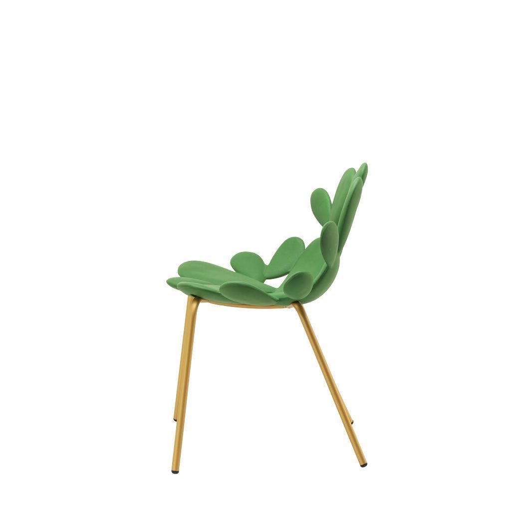 [product_category]-Qeeboo Filicudi Chair Filicudi Armchair By Marcantonio Set Of 2, Balm Green/Brass-Qeeboo-8052049055604-17002BG-BR-QEE-2