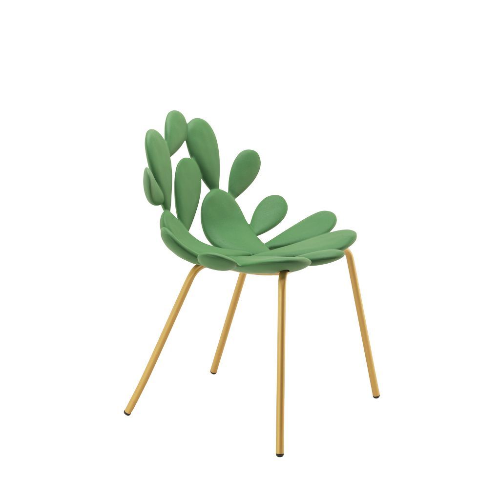 [product_category]-Qeeboo Filicudi Chair Filicudi Armchair By Marcantonio Set Of 2, Balm Green/Brass-Qeeboo-8052049055604-17002BG-BR-QEE-3