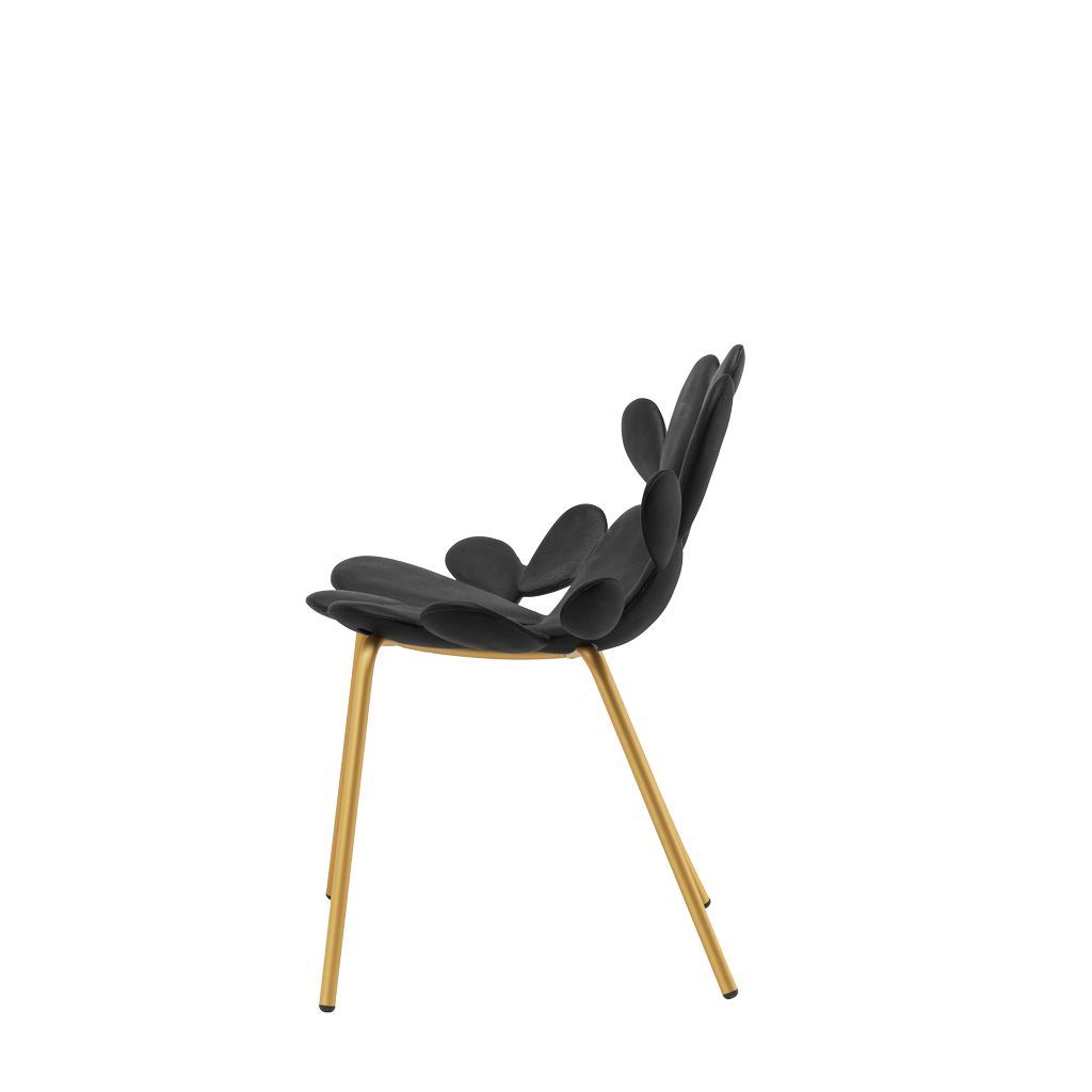 [product_category]-Qeeboo Filicudi Chair Filicudi Armchair By Marcantonio Set Of 2, Black/Brass-Qeeboo-8052049055628-17002BL-BR-QEE-2