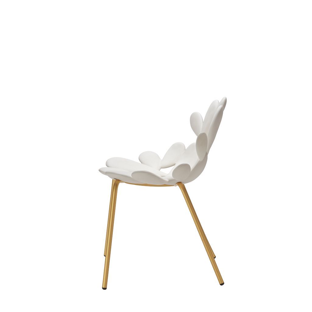 [product_category]-Qeeboo Filicudi Chair Filicudi Armchair By Marcantonio Set Of 2, White/Brass-Qeeboo-8052049055611-17002WH-BR-QEE-2