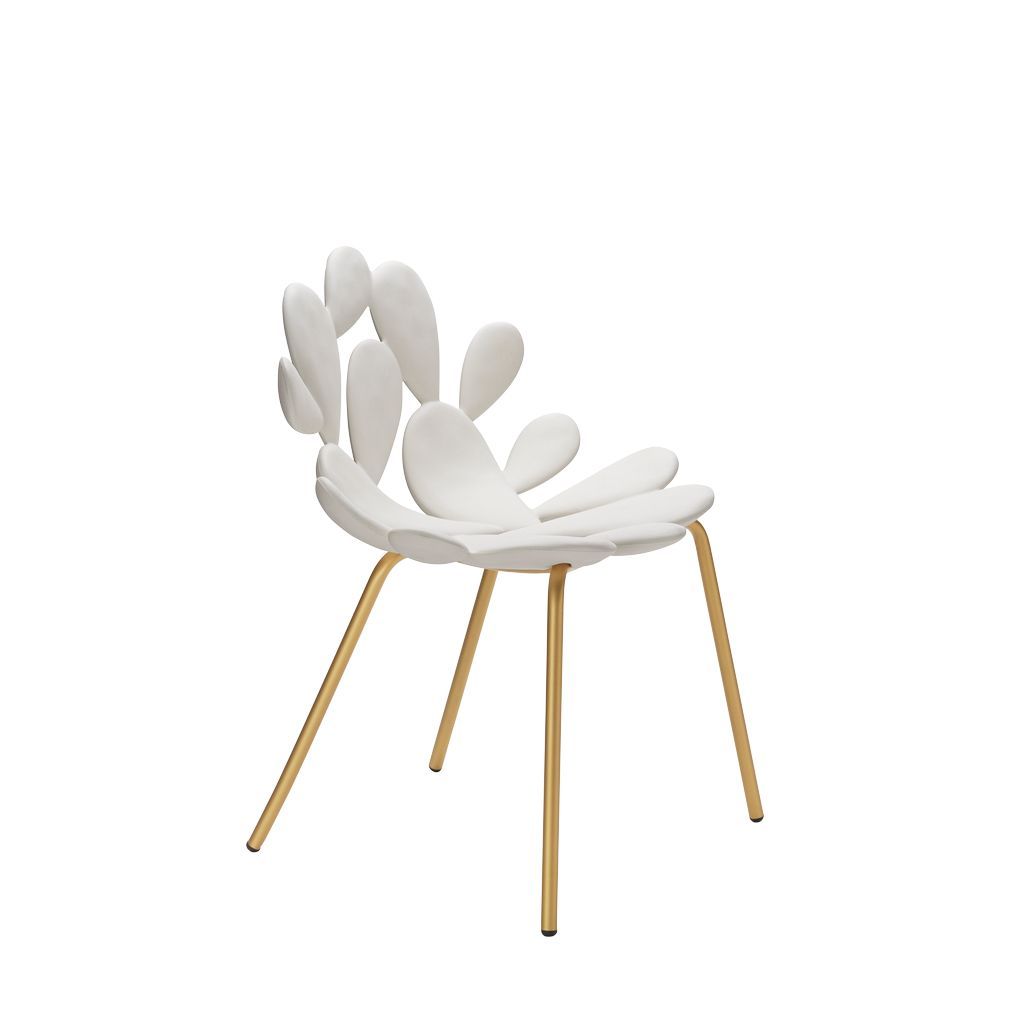 [product_category]-Qeeboo Filicudi Chair Filicudi Armchair By Marcantonio Set Of 2, White/Brass-Qeeboo-8052049055611-17002WH-BR-QEE-3