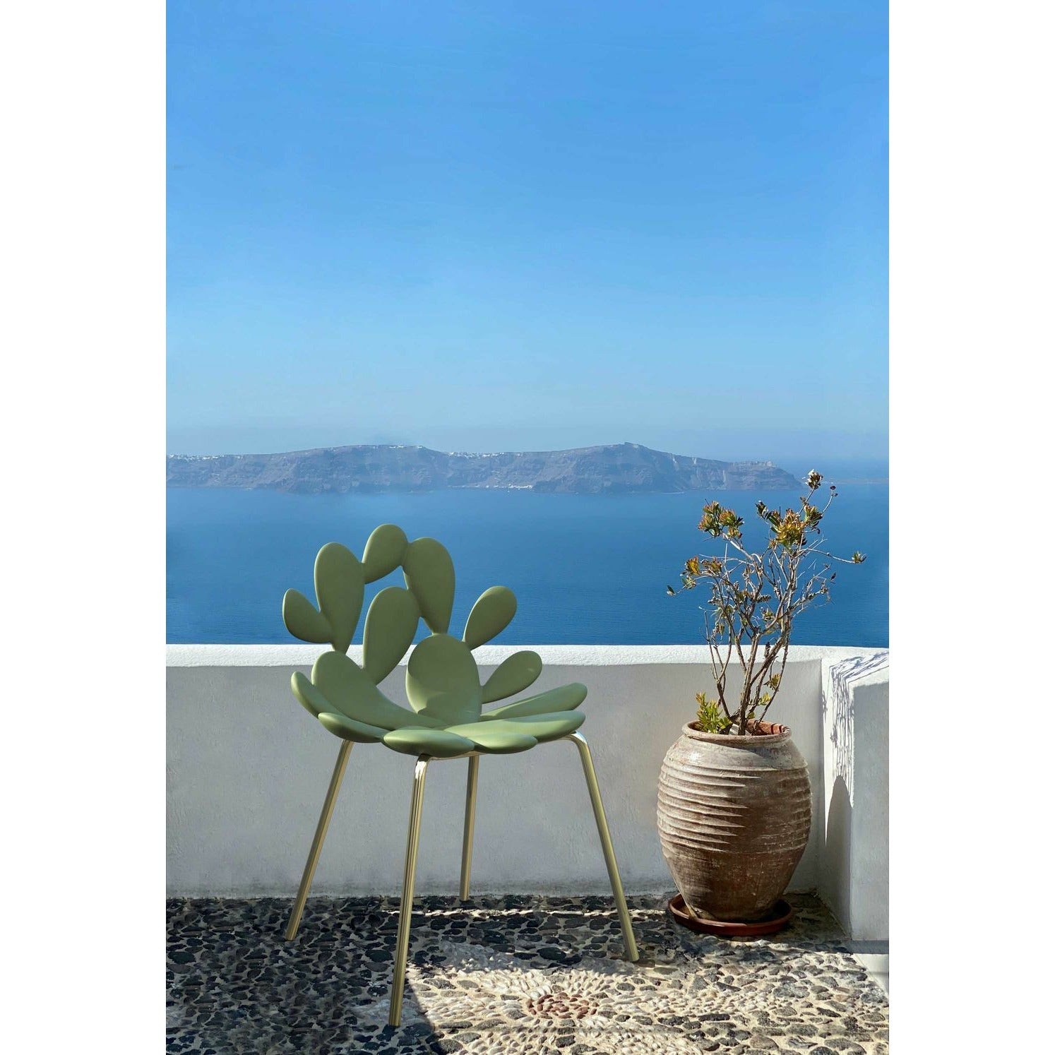 [product_category]-Qeeboo Filicudi Chair Filicudi Armchair By Marcantonio Set Of 2, White/Brass-Qeeboo-8052049055611-17002WH-BR-QEE-6