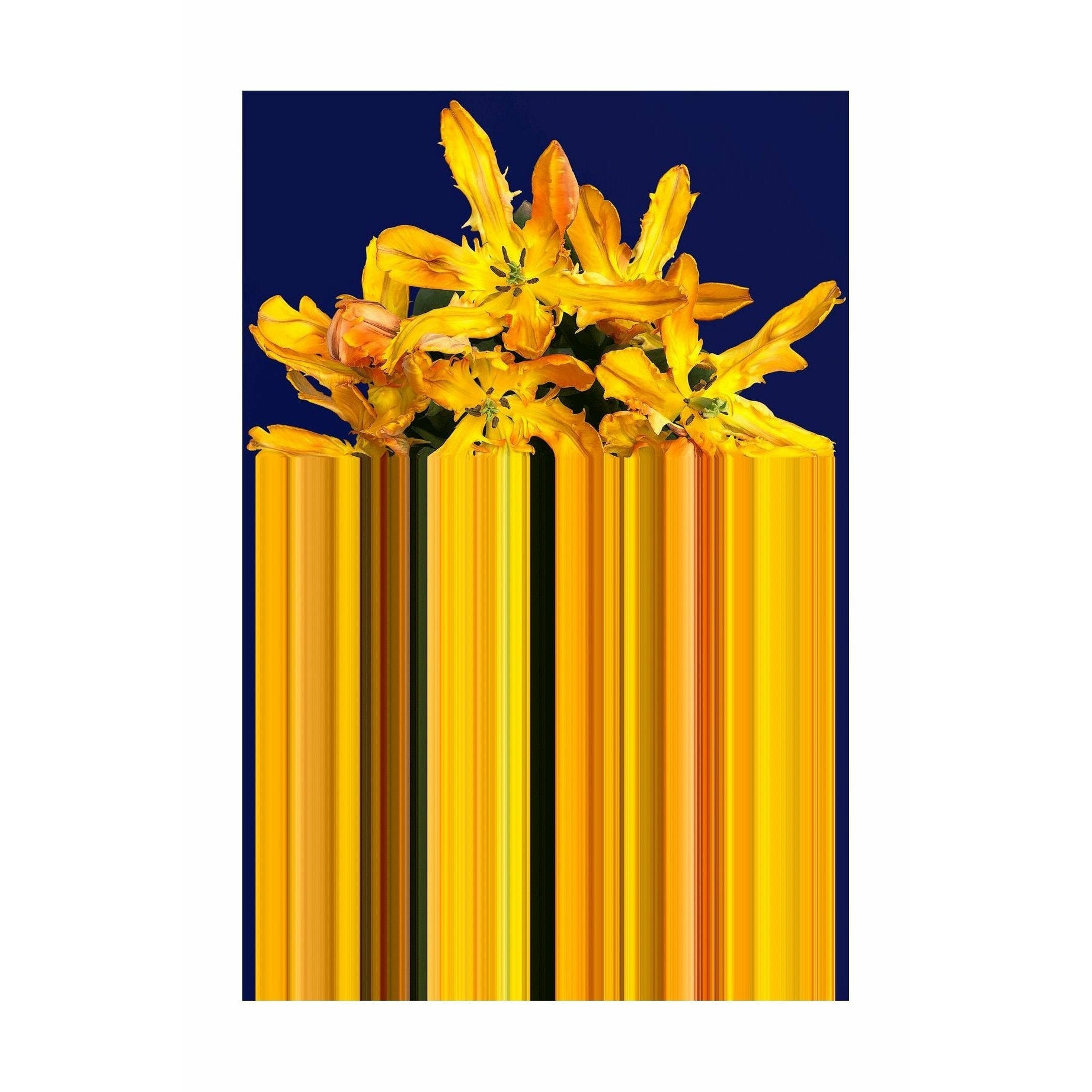 [product_category]-Qeeboo Glitch Rug 200x300 Cm, Yellow-Qeeboo-8052049057158-42003GC-YE-QEE-1