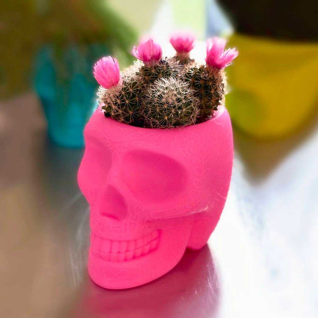 [product_category]-Qeeboo Mexico Planter And Pen Holder Xs, Light Mauve-Qeeboo-8052049055062-70010LG-QEE-4