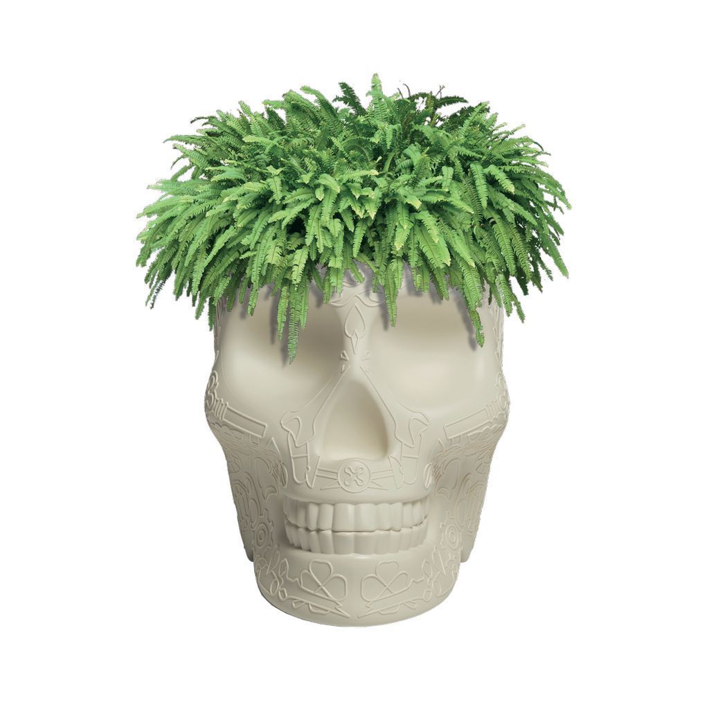 [product_category]-Qeeboo Mexico Planter/Champagne Cooler, Ivory-Qeeboo-8052049051149-70007AV-QEE-2