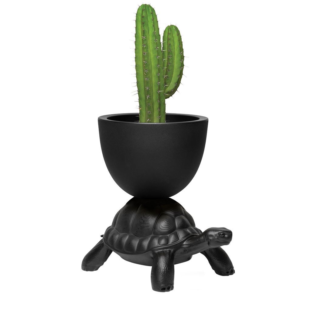 [product_category]-Qeeboo Turtle Carry Flowerpot And Champagne Cooler, Black-Qeeboo-8052049055635-36004BL-QEE-3
