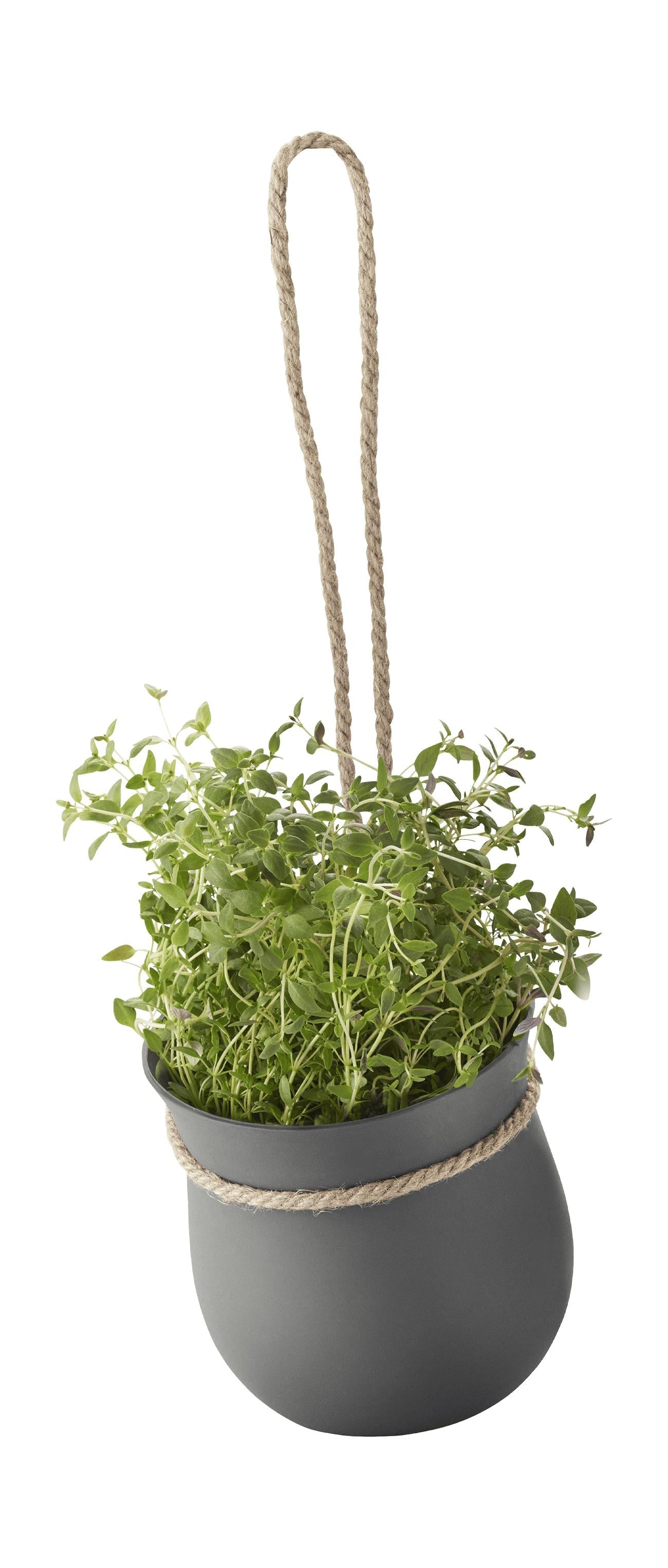 [product_category]-Rig Tig Grow It Flower Planter, Grey-Rig-Tig-5709846018983-Z00130-RIG-1