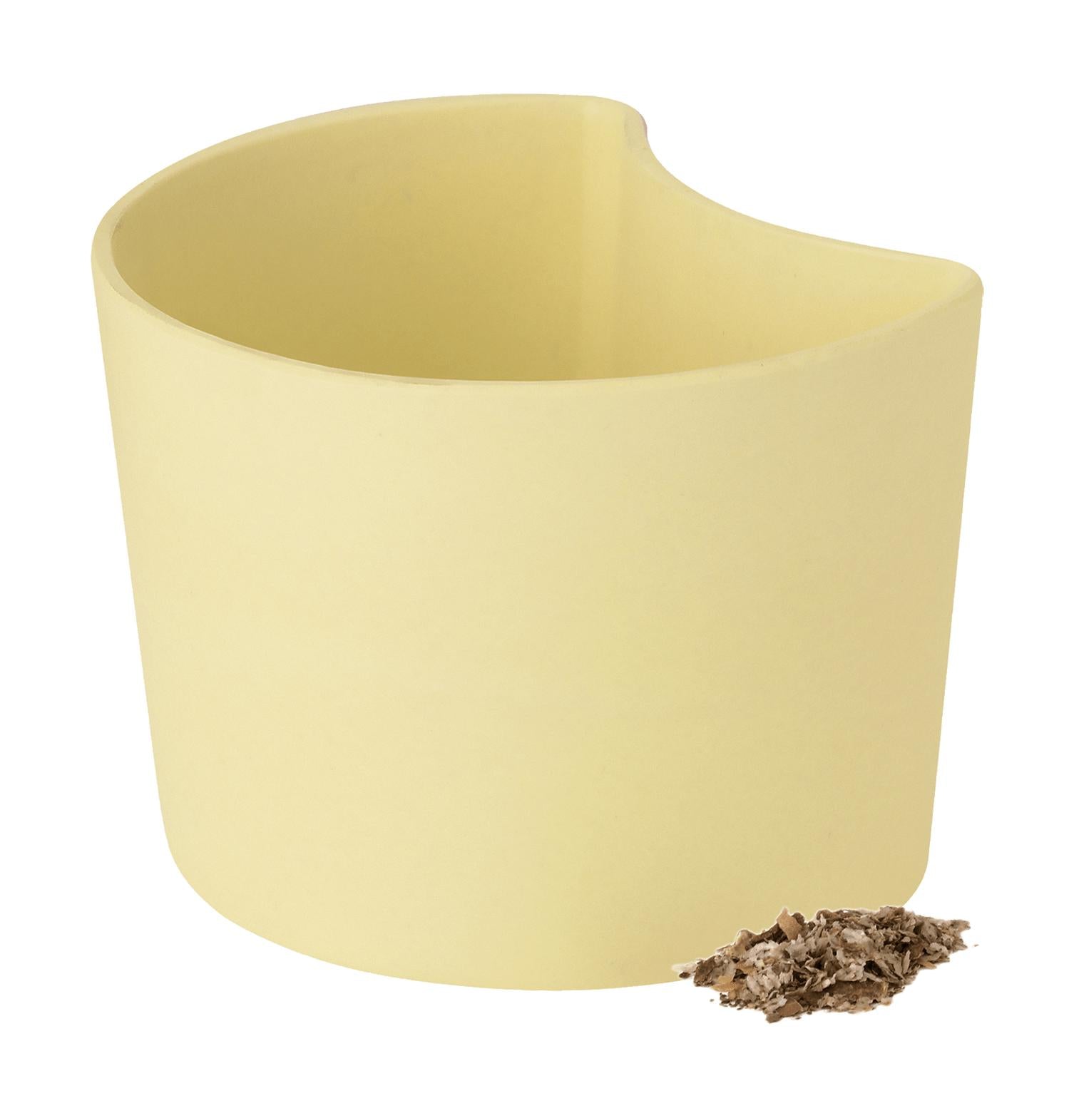 [product_category]-Rig Tig Your Tree Flower Pots With Seeds, Yellow-Rig-Tig-5709846025783-Z00136-RIG-1