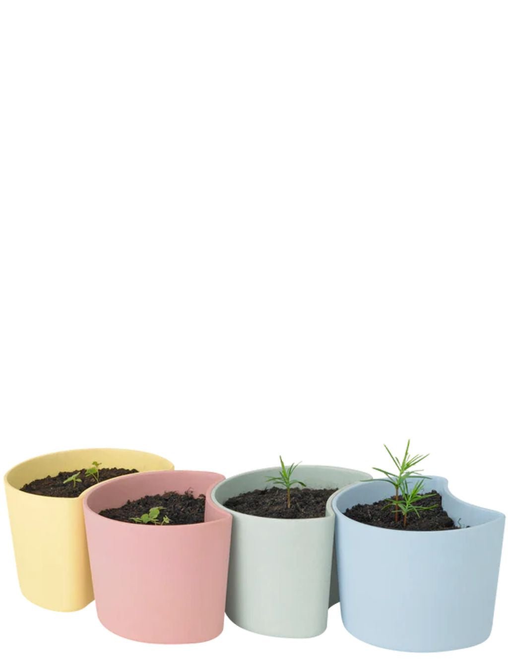 [product_category]-Rig Tig Your Tree Flower Pots With Seeds, Yellow-Rig-Tig-5709846025783-Z00136-RIG-4