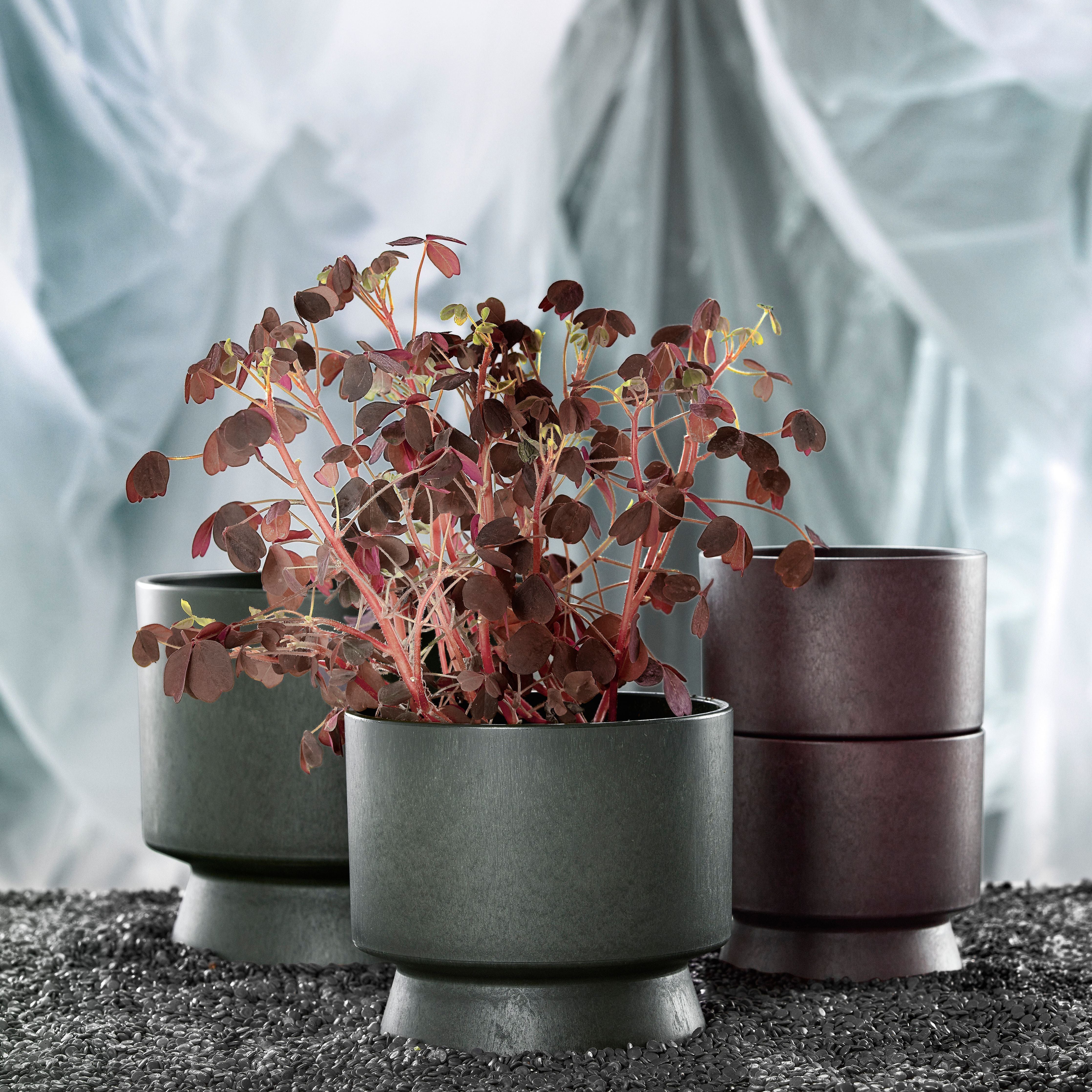 [product_category]-Rosendahl Ro Flowerpot ø12 Cm, Bordeaux-Rosendahl-5709513206408-20640-ROS-2