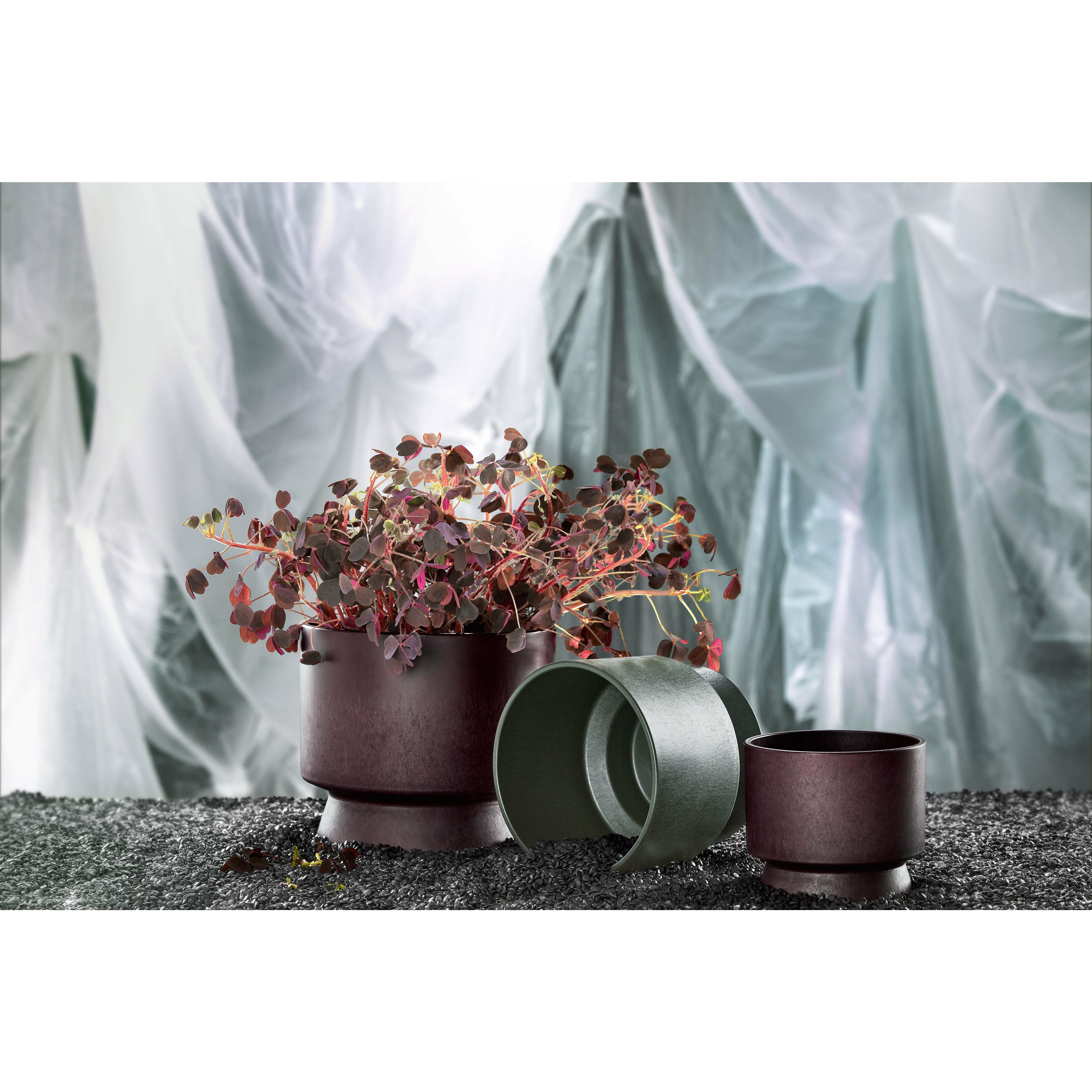 [product_category]-Rosendahl Ro Flowerpot ø12 Cm, Bordeaux-Rosendahl-5709513206408-20640-ROS-3