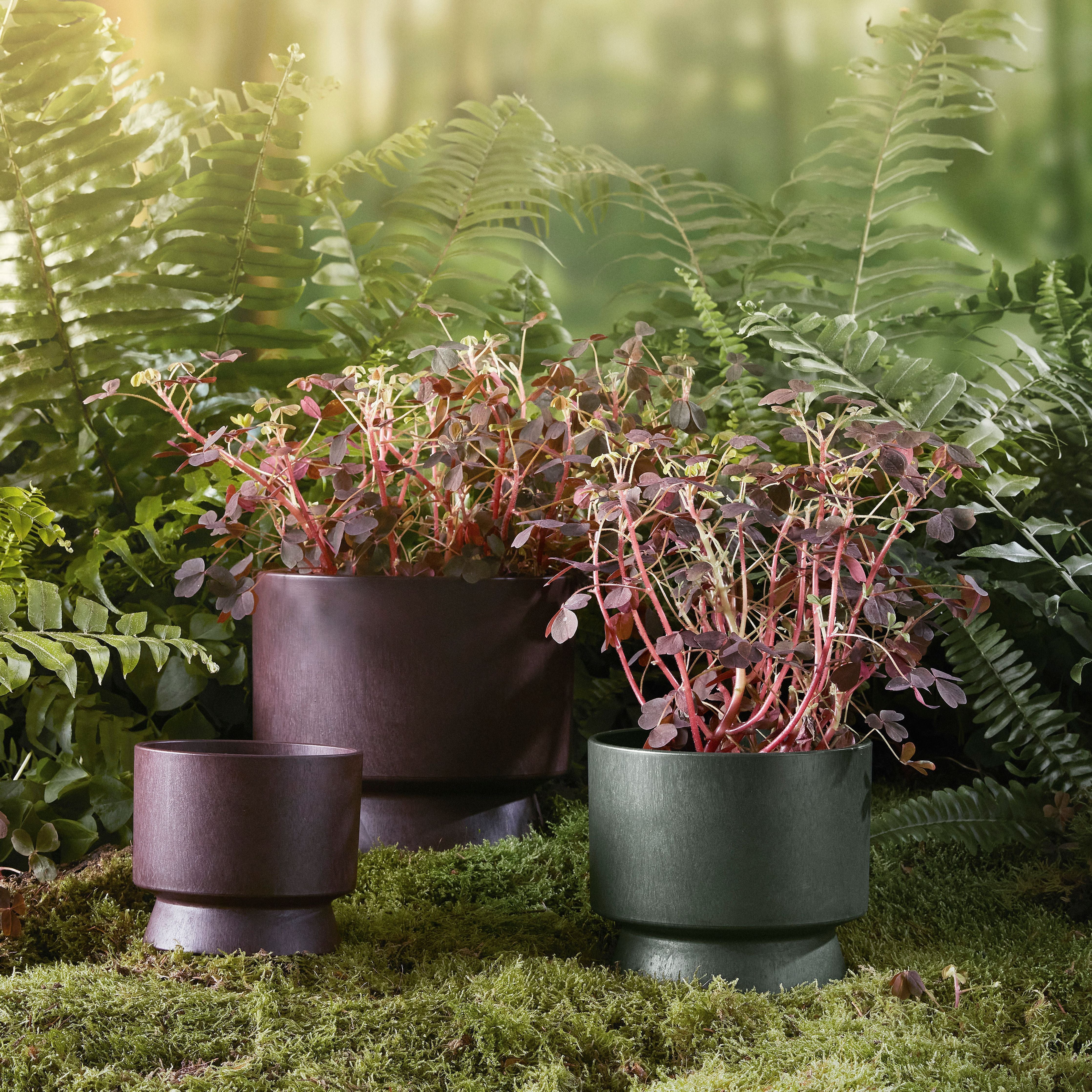 [product_category]-Rosendahl Ro Flowerpot ø12 Cm, Bordeaux-Rosendahl-5709513206408-20640-ROS-5