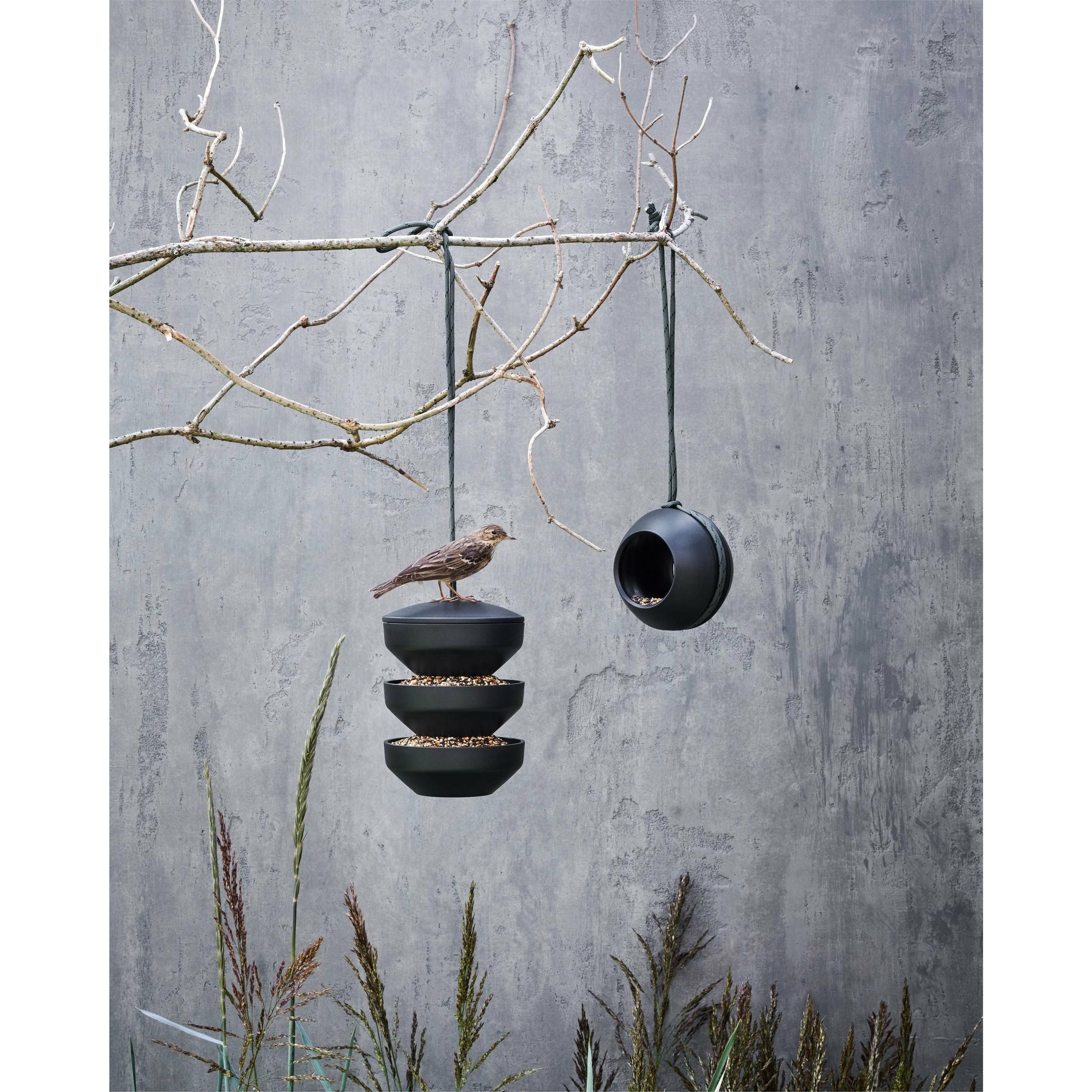 [product_category]-Rosendahl Rosendahl Birds Suet Ball Feeder-Rosendahl-5709513206729-20672-ROS-4