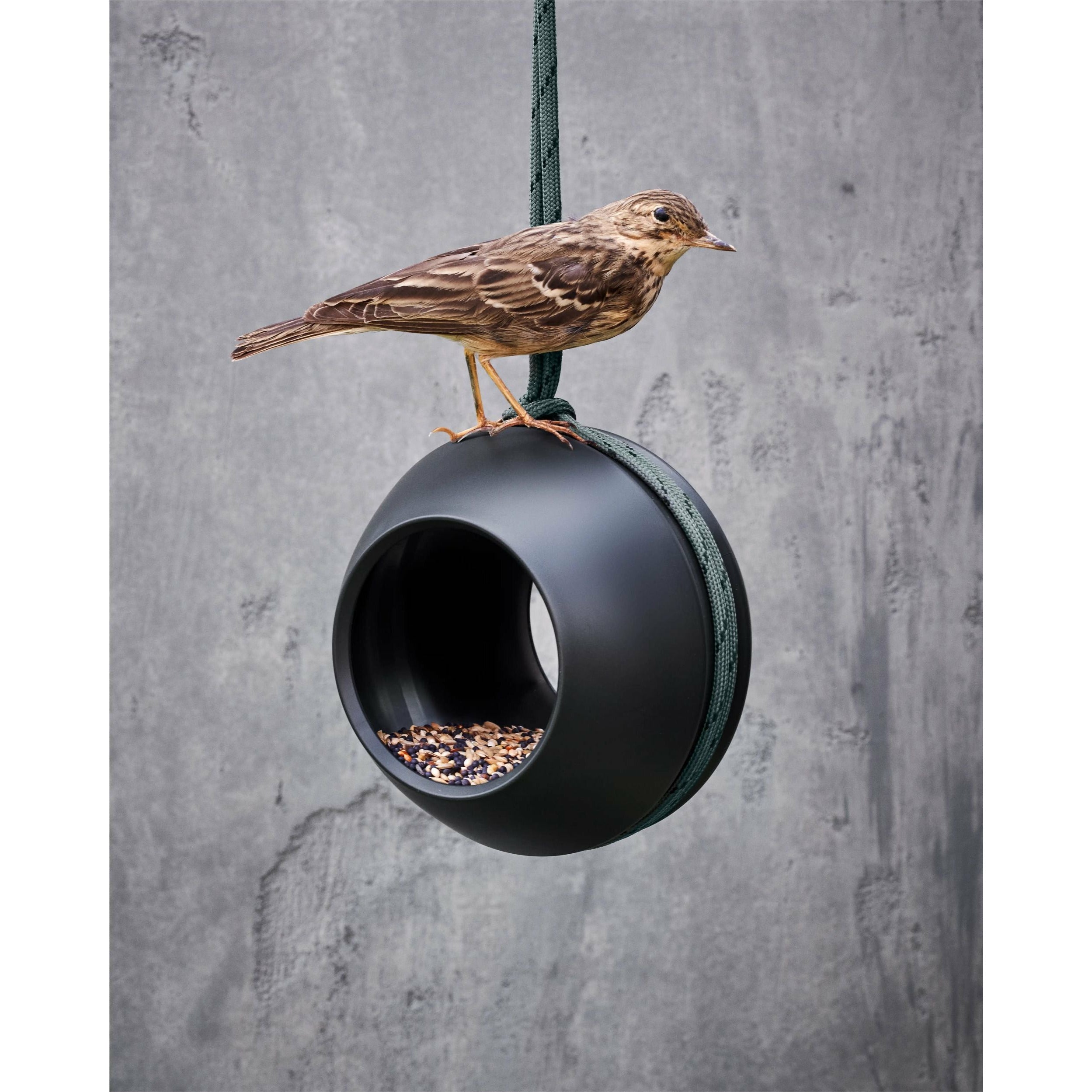 [product_category]-Rosendahl Rosendahl Birds Suet Ball Feeder-Rosendahl-5709513206729-20672-ROS-5