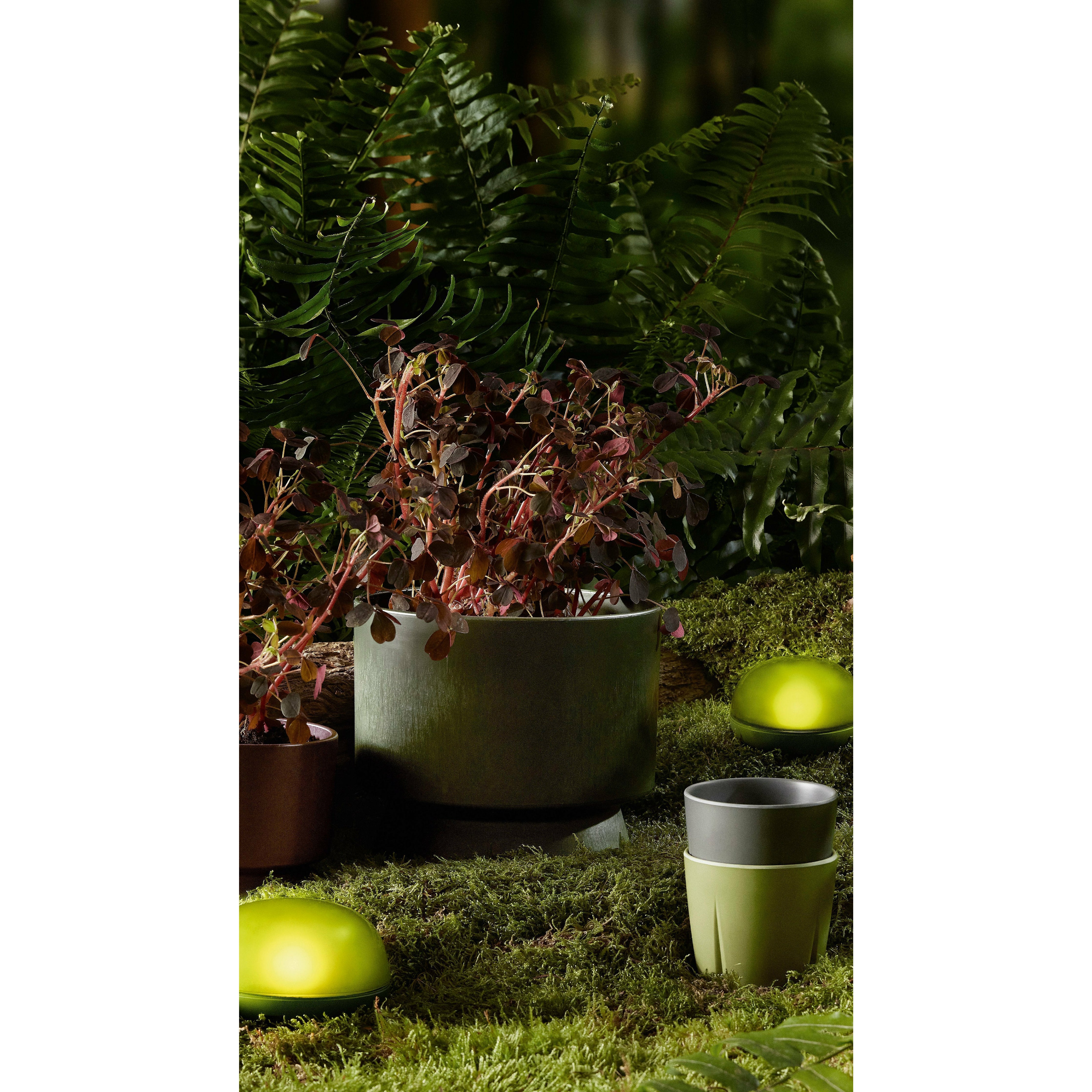 [product_category]-Rosendahl Soft Spot Led ø9 Cm, Olive Green-Rosendahl-5709513262701-26270-ROS-4