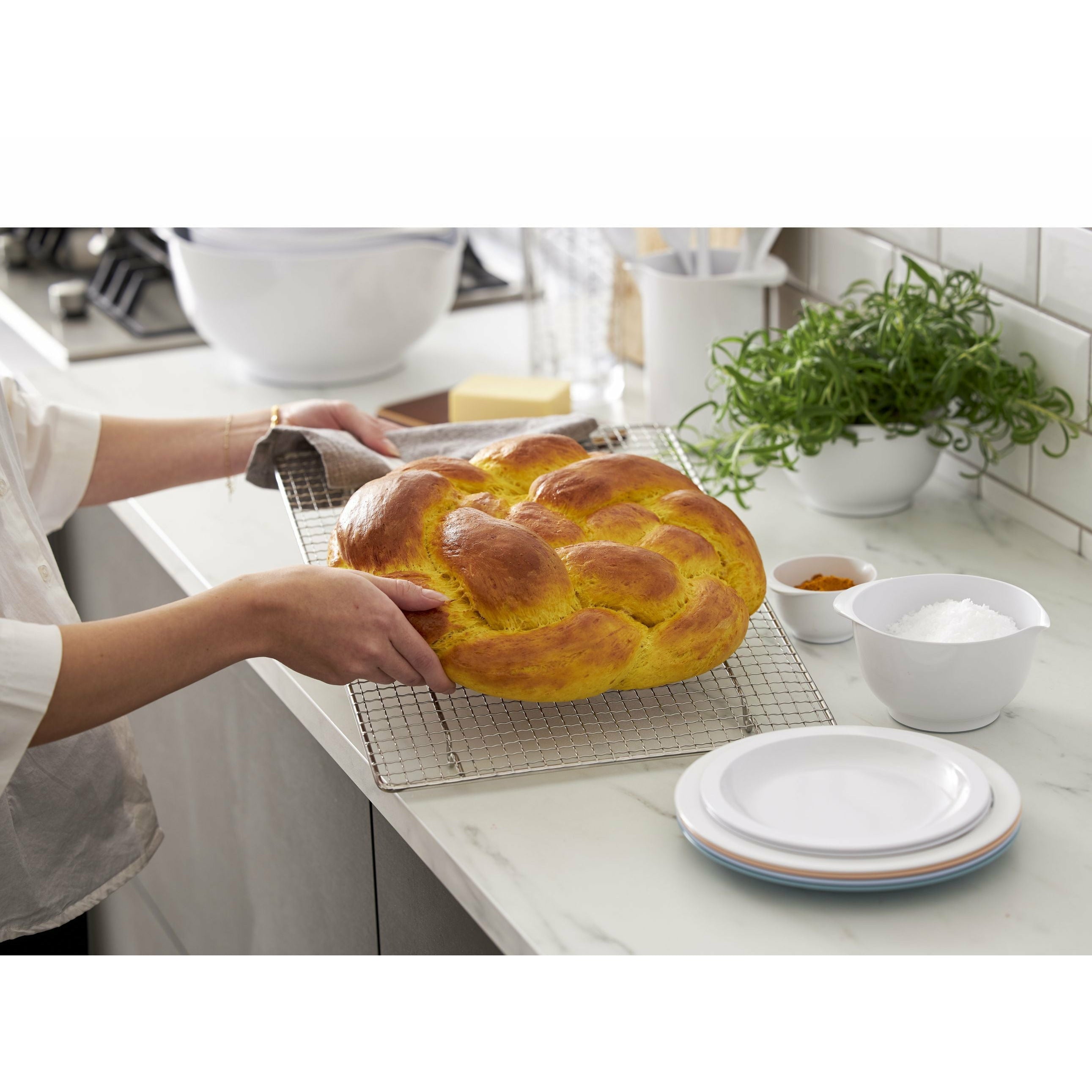 [product_category]-Rosti Hamlet Dinner Plate, Nordic Green-Rosti-5708760681457-13723-ROS-TEMP-4