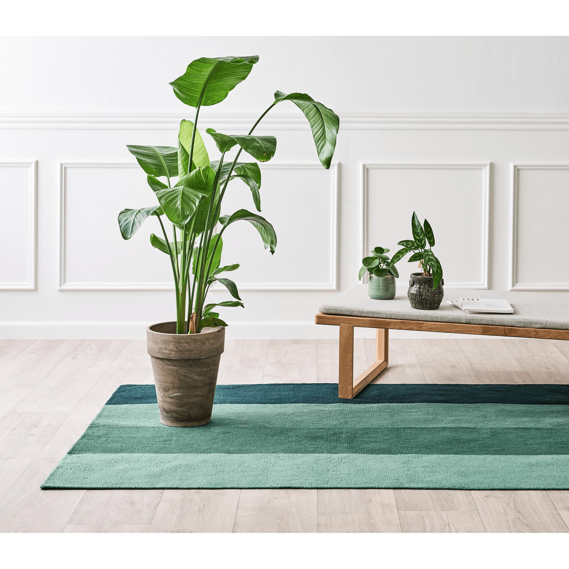 [product_category]-Rug Solid Pet Rug Gradient Forest, 140 X 200 Cm-Rug Solid-5711655307318-30731-RUG-3