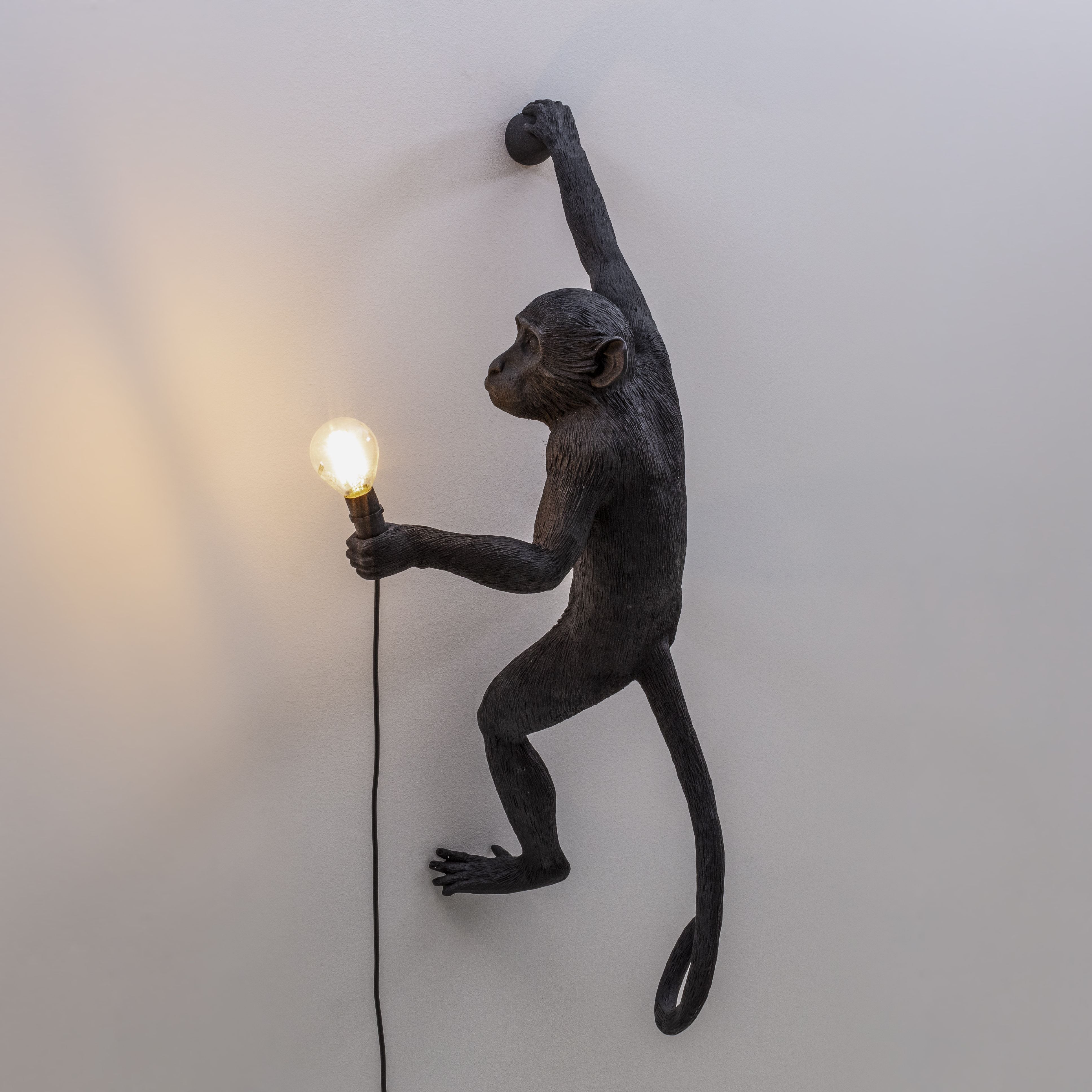 [product_category]-Seletti Monkey Outdoor Lamp Black, Hanging Right Hand-Seletti-8008215149196-14919-SEL-5