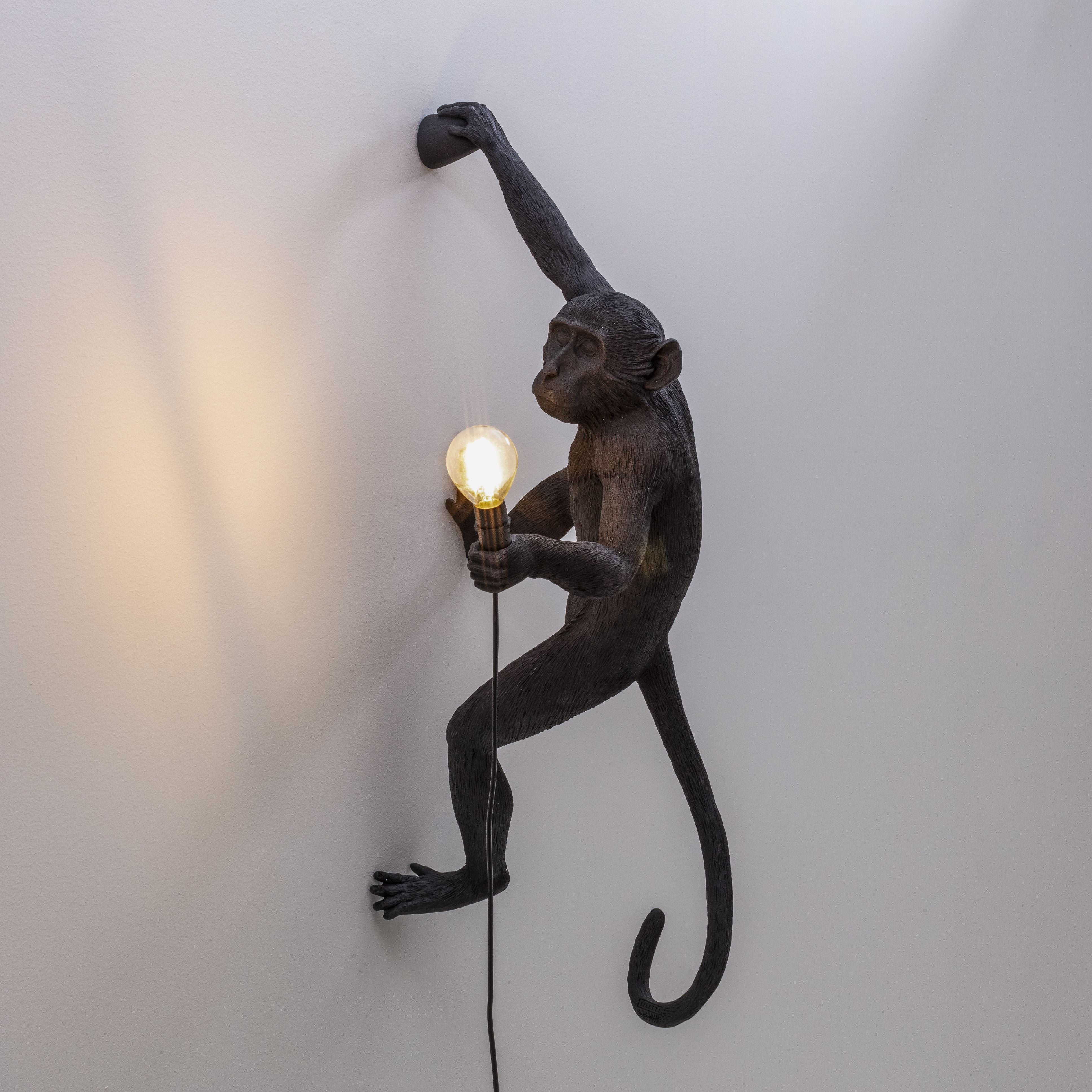 [product_category]-Seletti Monkey Outdoor Lamp Black, Hanging Right Hand-Seletti-8008215149196-14919-SEL-6