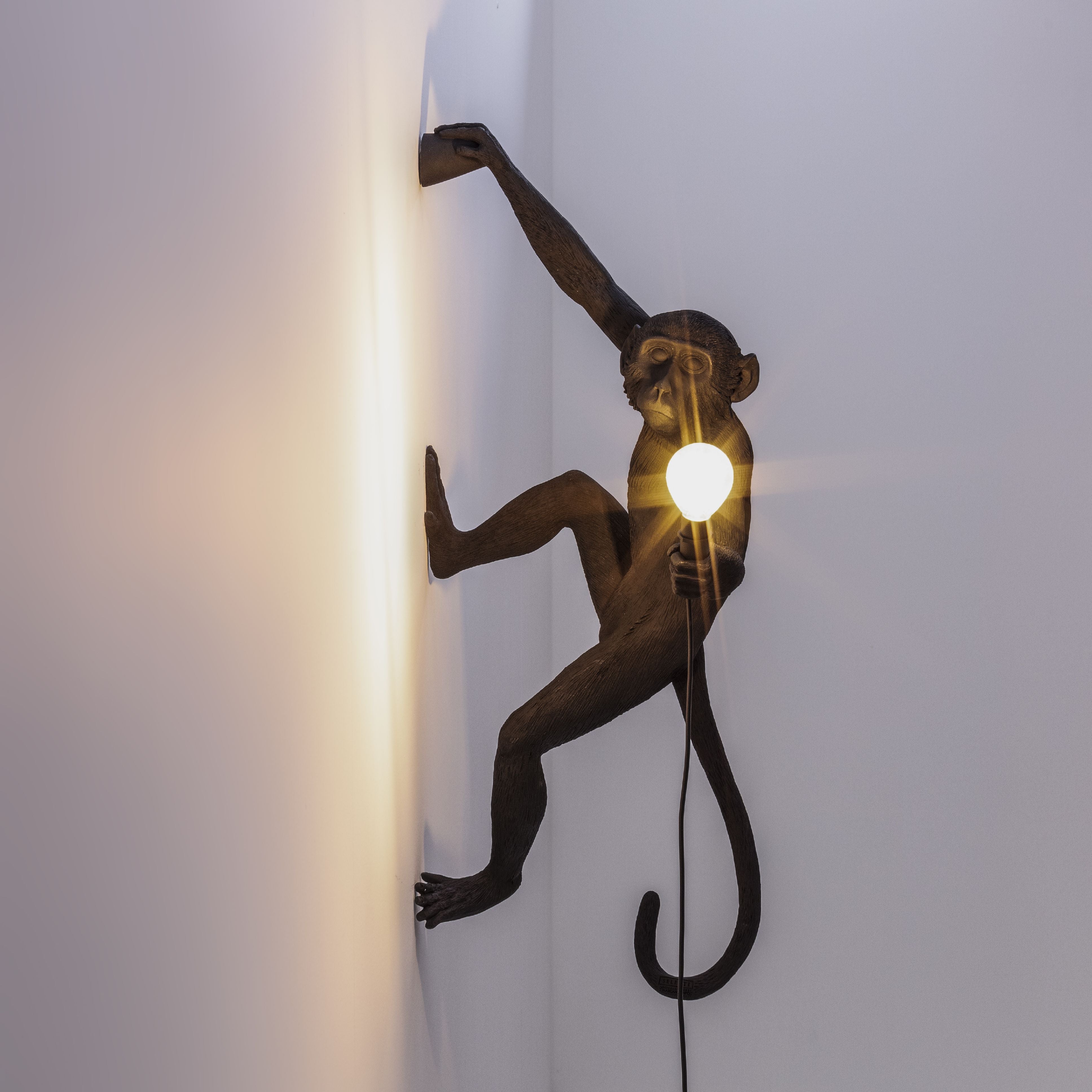 [product_category]-Seletti Monkey Outdoor Lamp Black, Hanging Right Hand-Seletti-8008215149196-14919-SEL-7