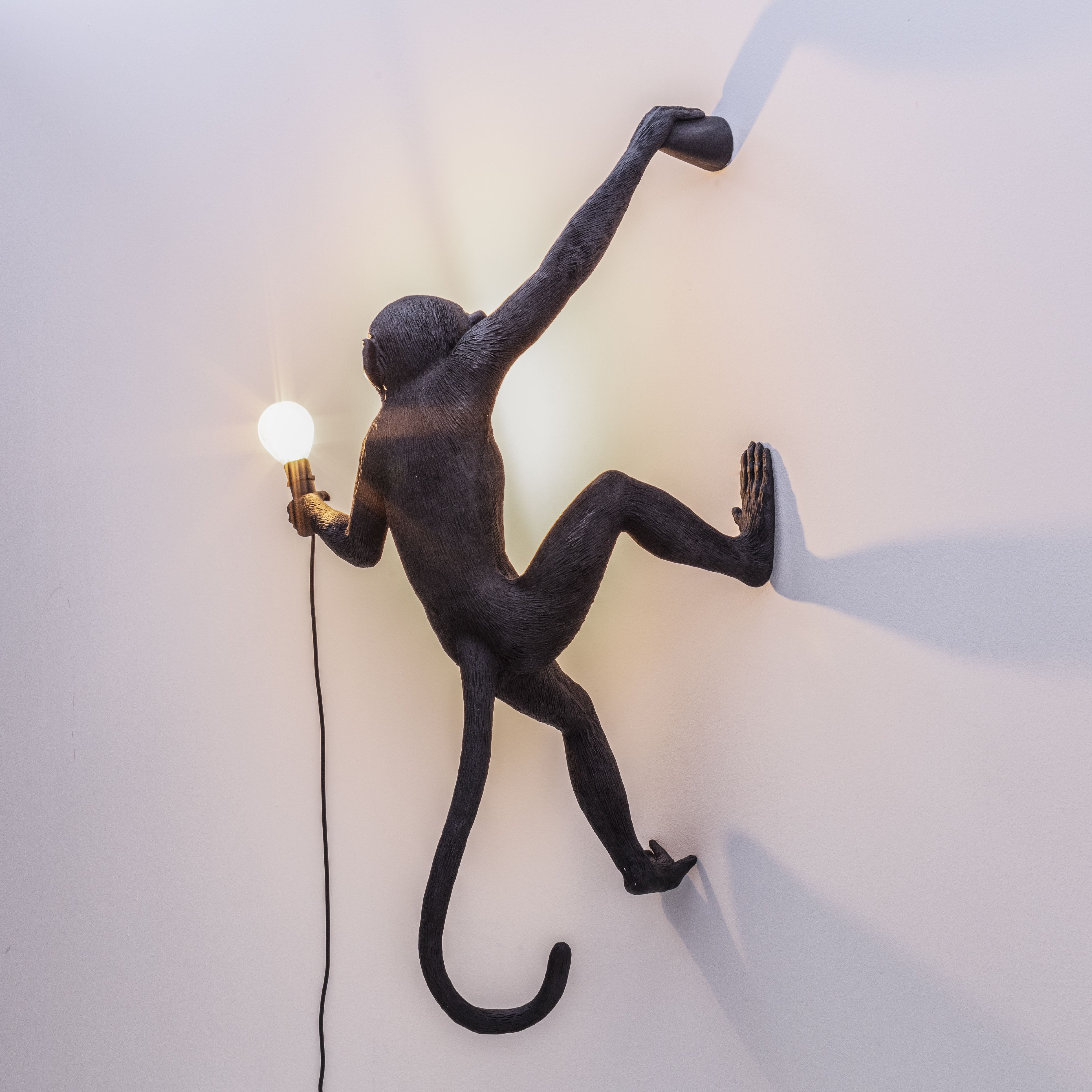 [product_category]-Seletti Monkey Outdoor Lamp Black, Hanging Right Hand-Seletti-8008215149196-14919-SEL-8