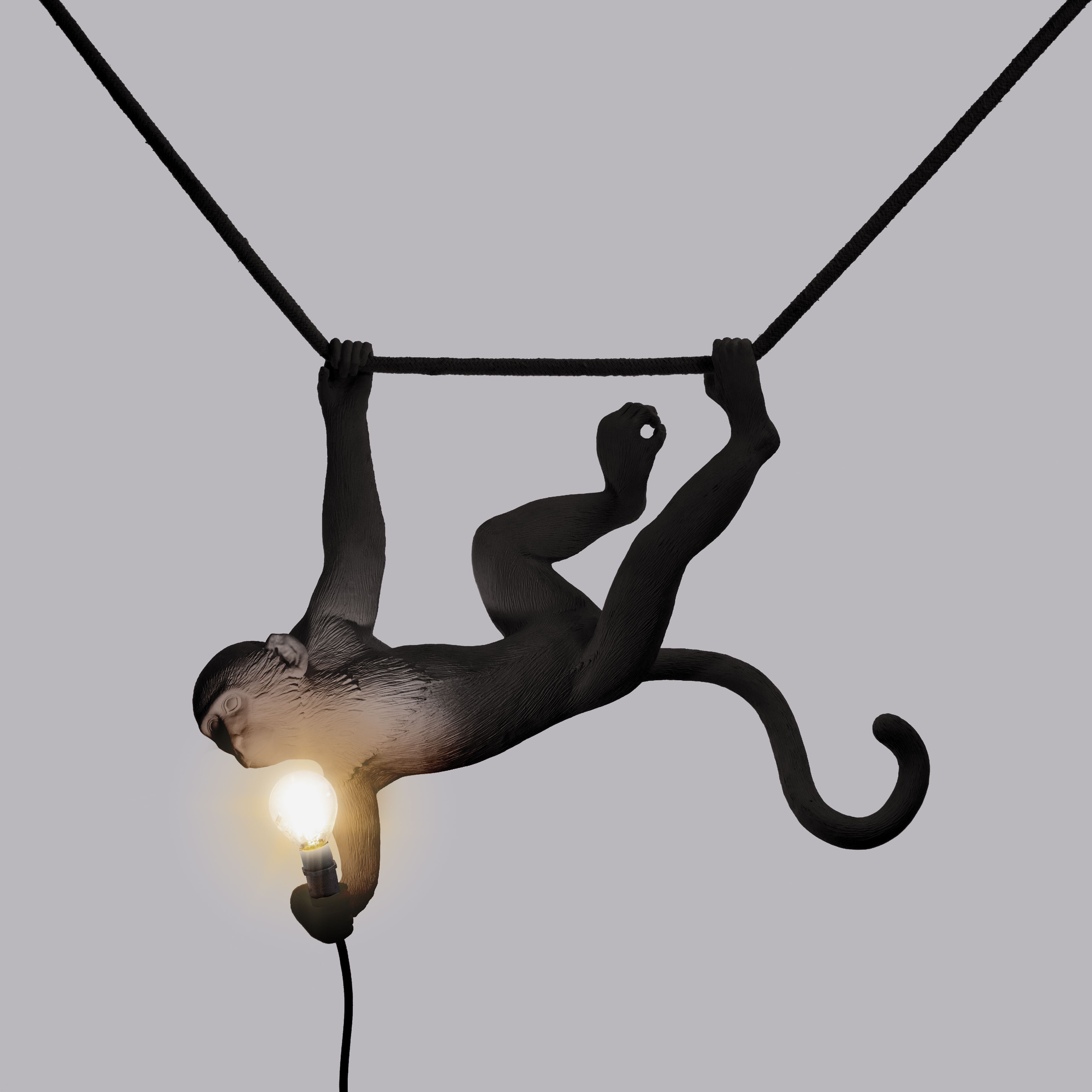 [product_category]-Seletti Monkey Outdoor Lamp Black, Swing-Seletti-8008215149165-14916-SEL-10