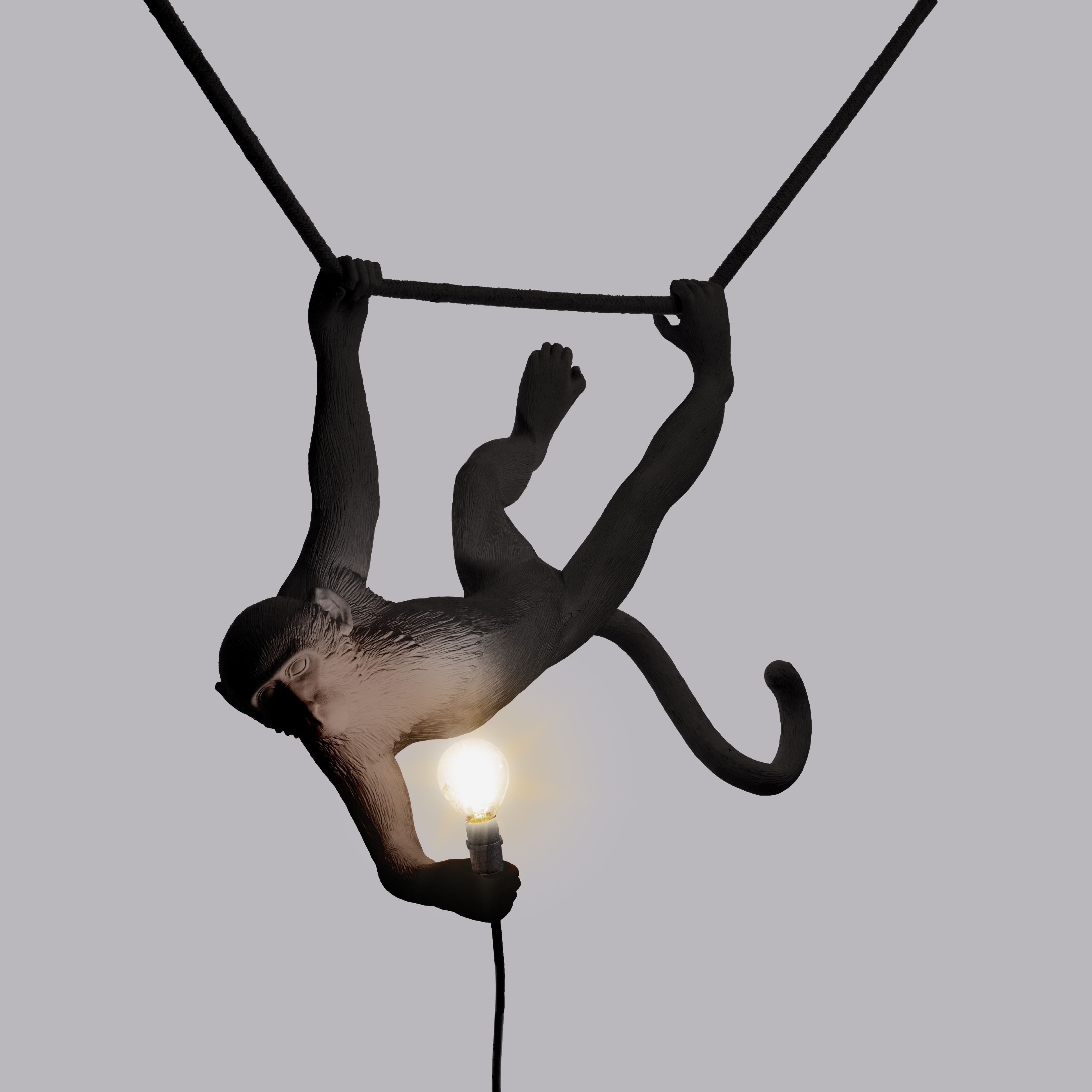 [product_category]-Seletti Monkey Outdoor Lamp Black, Swing-Seletti-8008215149165-14916-SEL-9