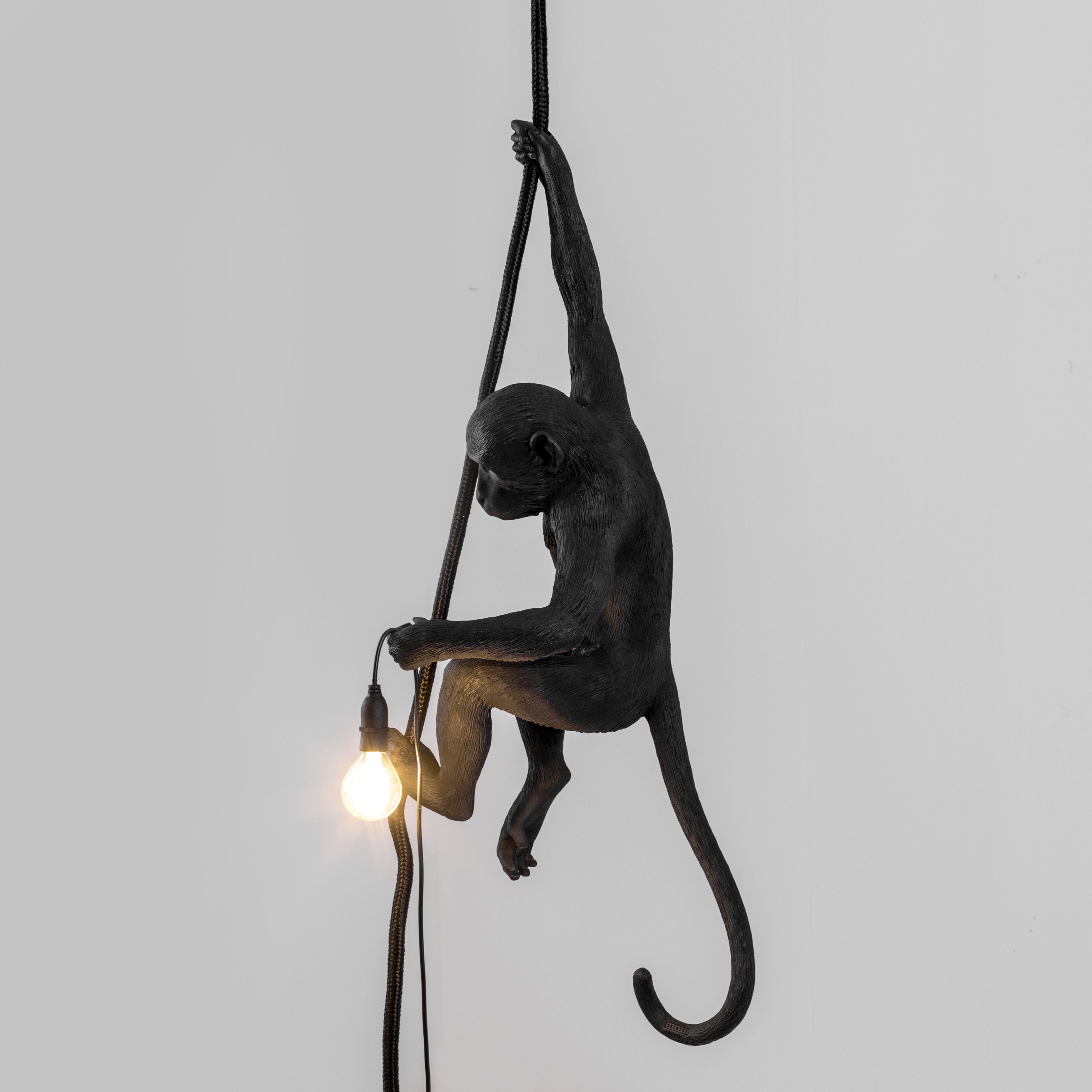 [product_category]-Seletti Monkey Outdoor Lamp Black, With Rope-Seletti-8008215149233-14923-SEL-10
