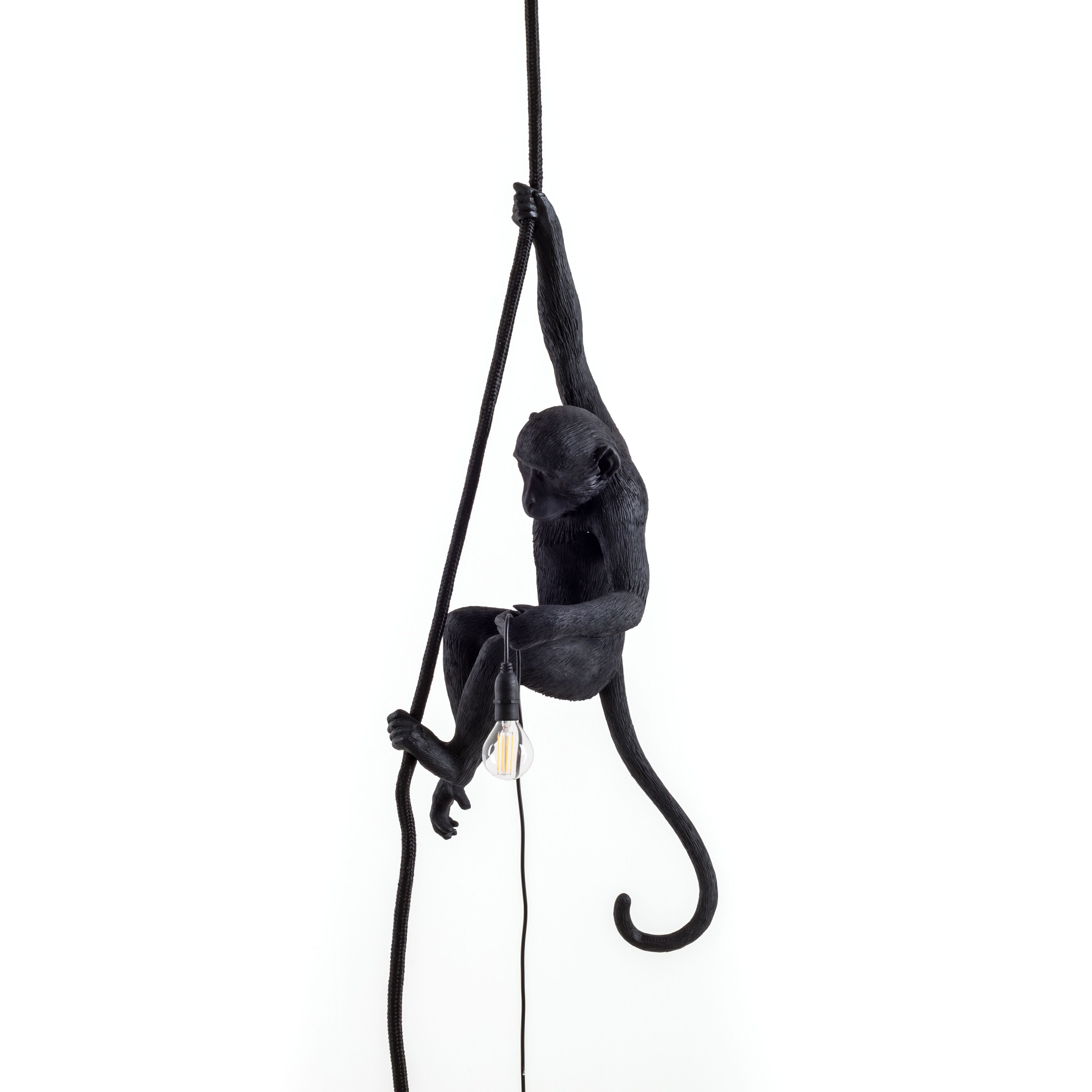 [product_category]-Seletti Monkey Outdoor Lamp Black, With Rope-Seletti-8008215149233-14923-SEL-2