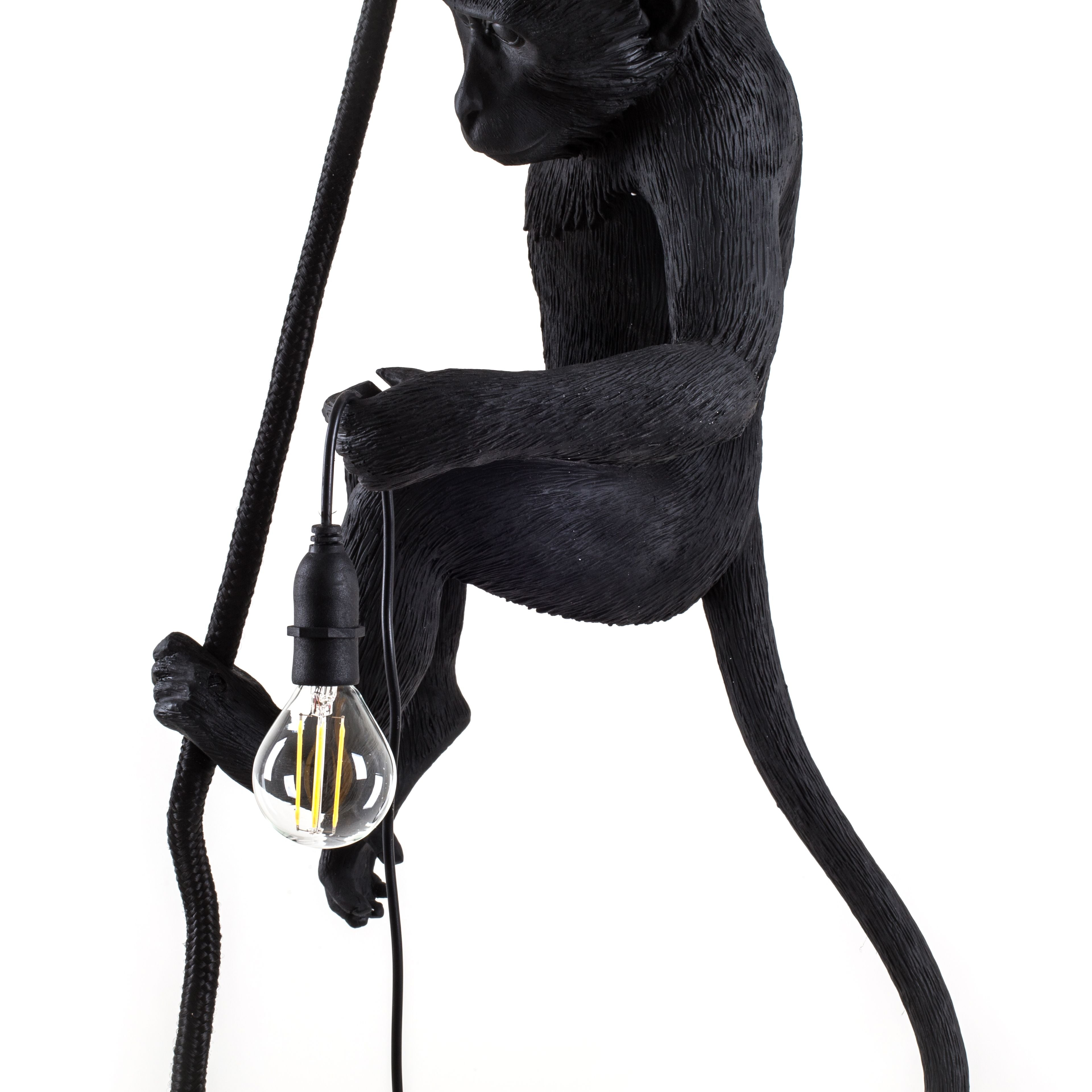 [product_category]-Seletti Monkey Outdoor Lamp Black, With Rope-Seletti-8008215149233-14923-SEL-5