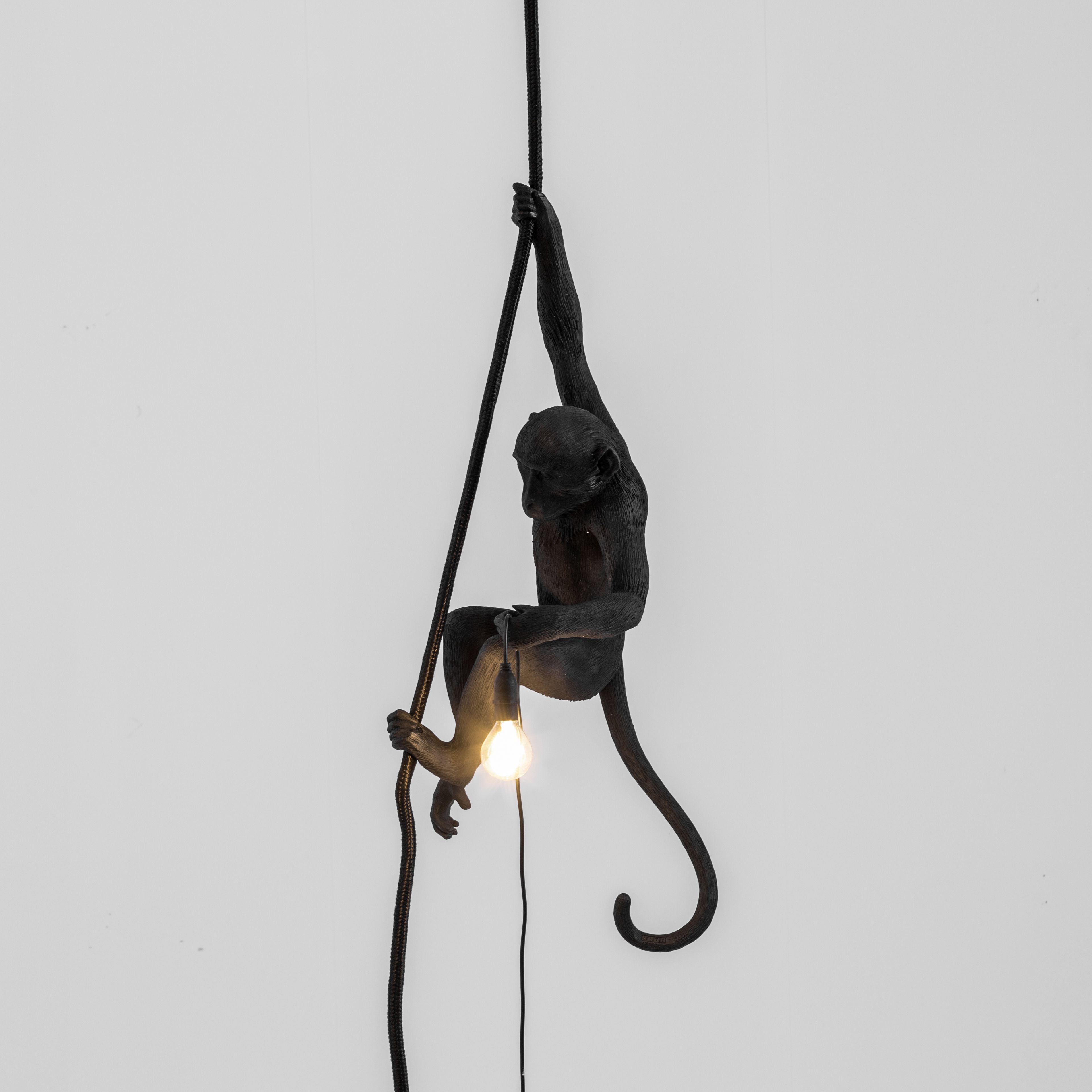 [product_category]-Seletti Monkey Outdoor Lamp Black, With Rope-Seletti-8008215149233-14923-SEL-8