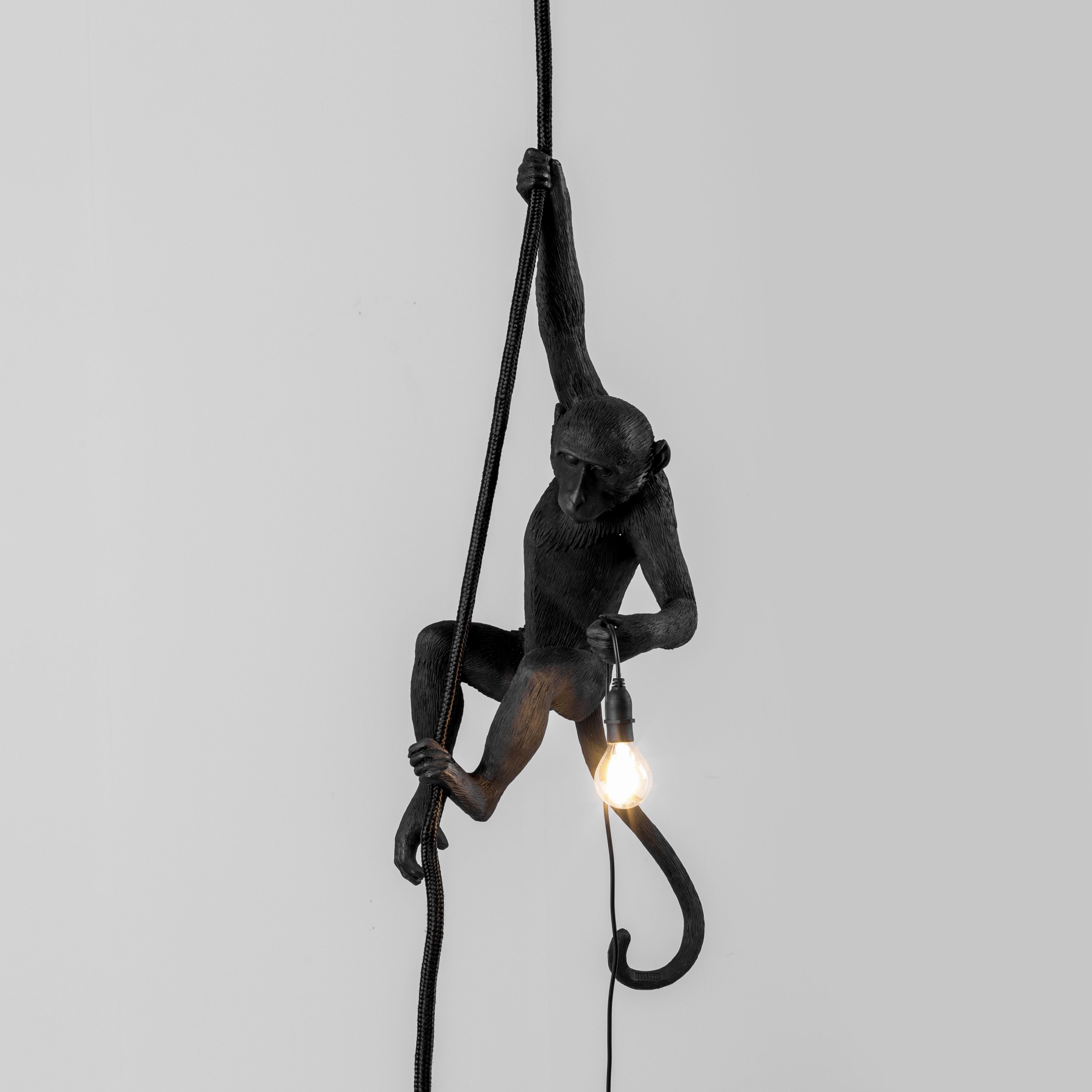 [product_category]-Seletti Monkey Outdoor Lamp Black, With Rope-Seletti-8008215149233-14923-SEL-9
