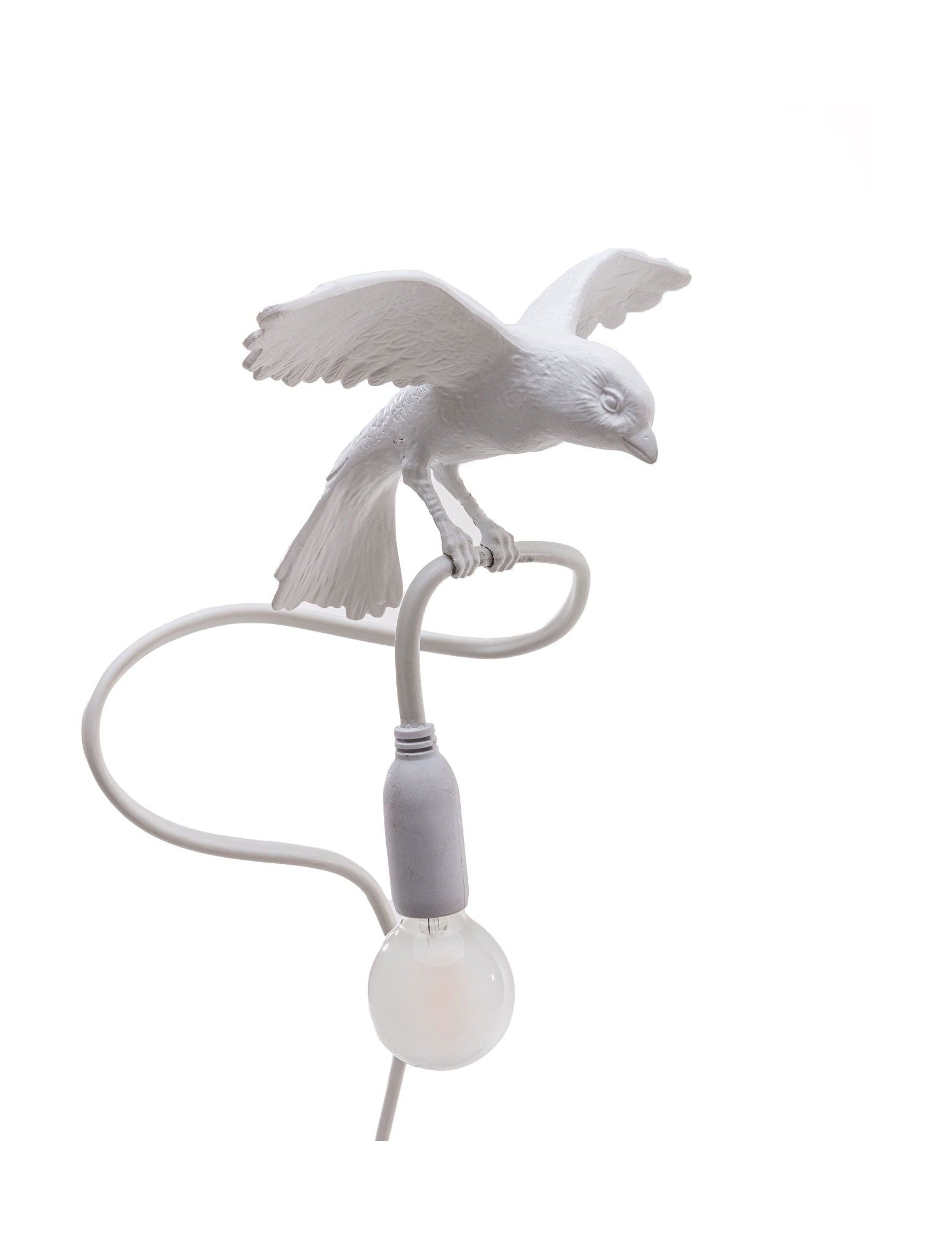 [product_category]-Seletti Sparrow Lamp With Clamp, Cruising-Seletti-8008215153124-15312-SEL-1