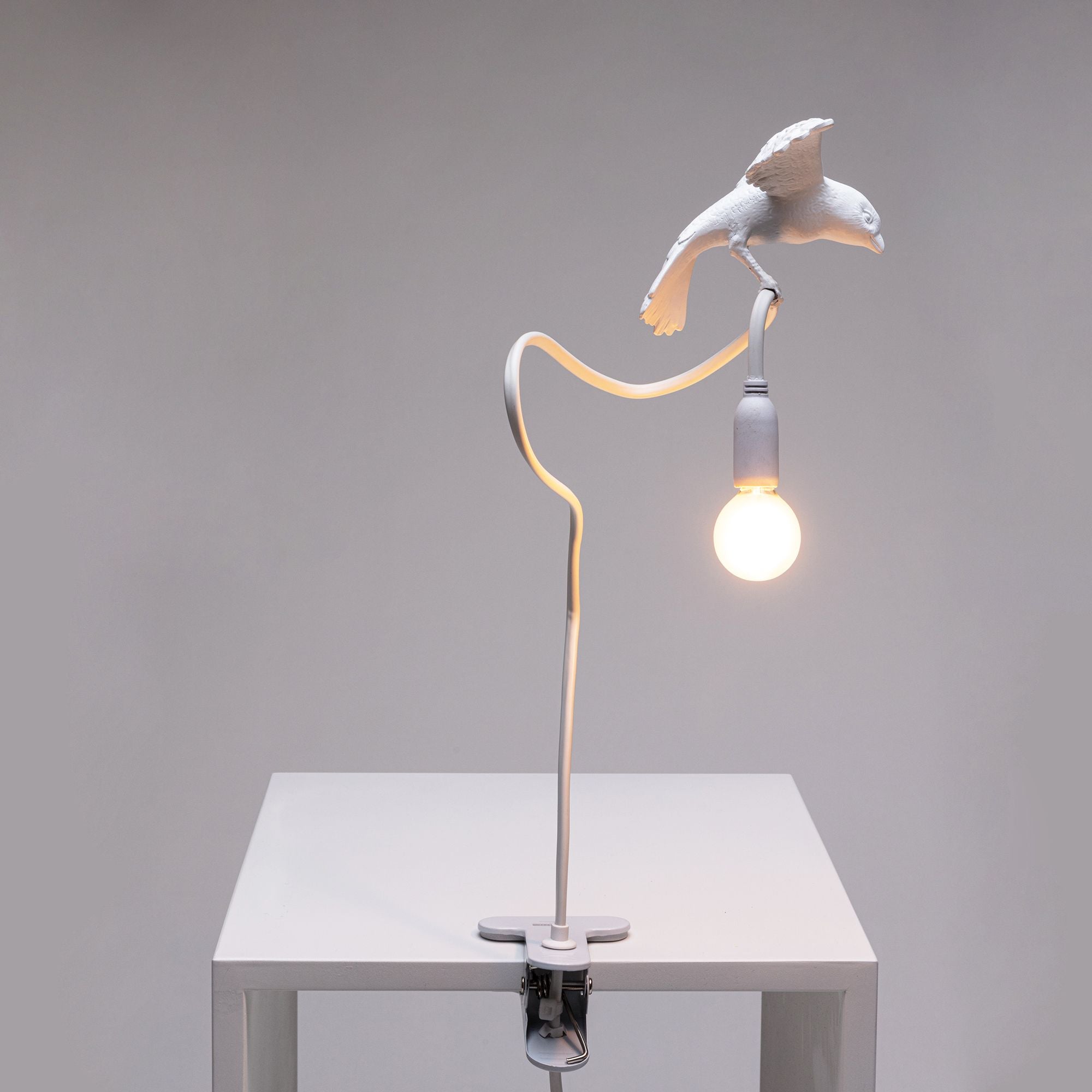 [product_category]-Seletti Sparrow Lamp With Clamp, Cruising-Seletti-8008215153124-15312-SEL-4