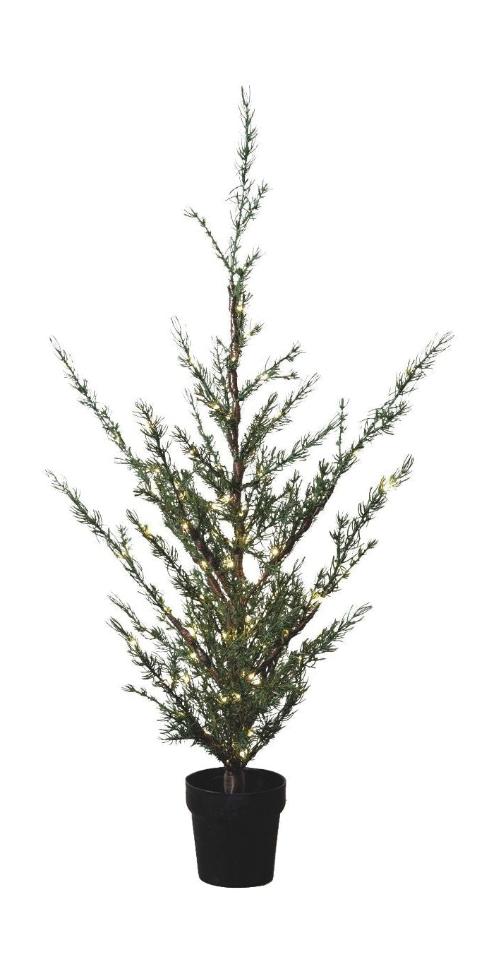 [product_category]-Sirius Milas Ceder Tree, H130 Cm-Sirius-5707310517253-51725-SIR-1