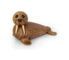 Jaro Kodaň Wally Walrus
