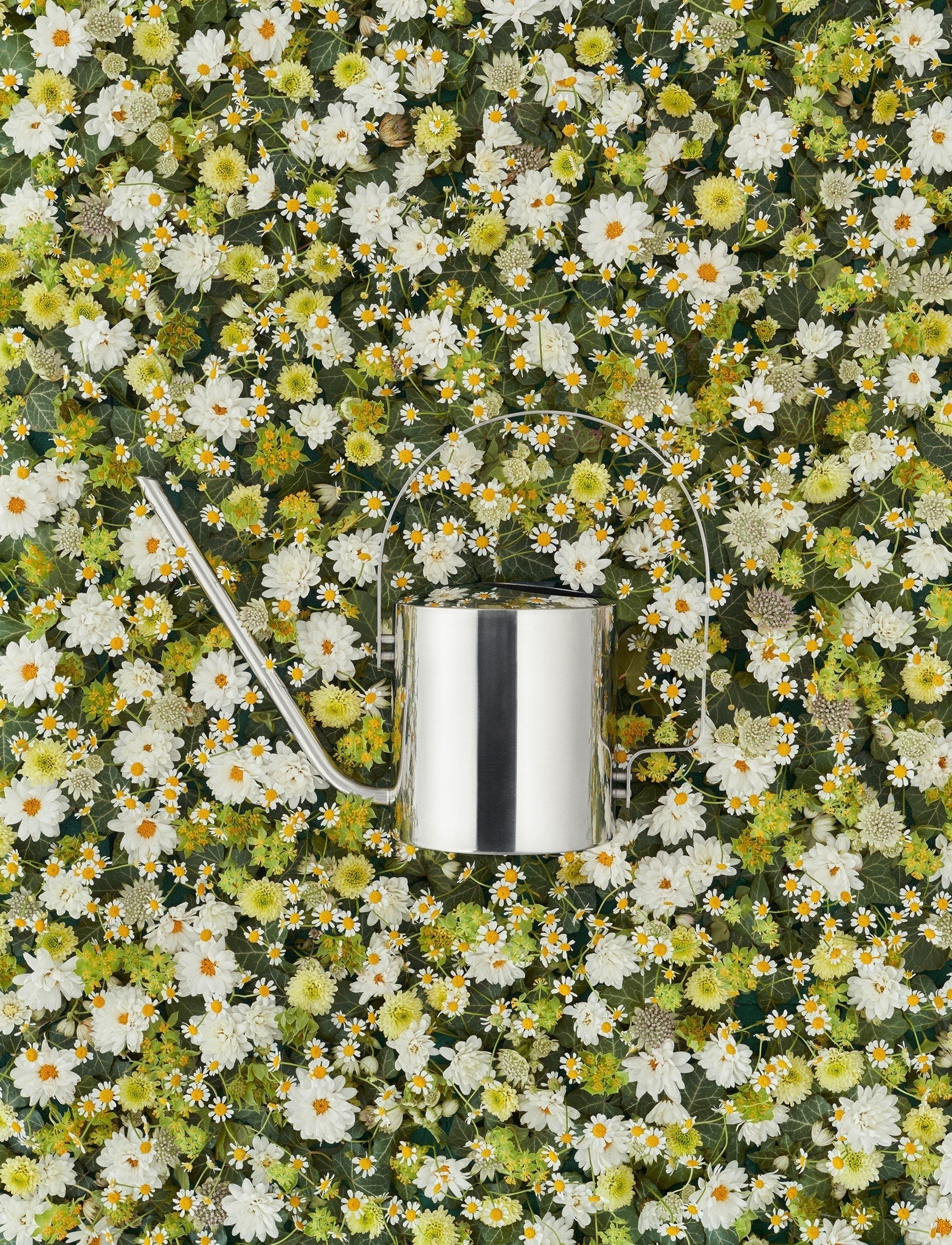 [product_category]-Stelton Original Watering Can 1,7 L-Stelton-5709846000377-100-15-STE-2