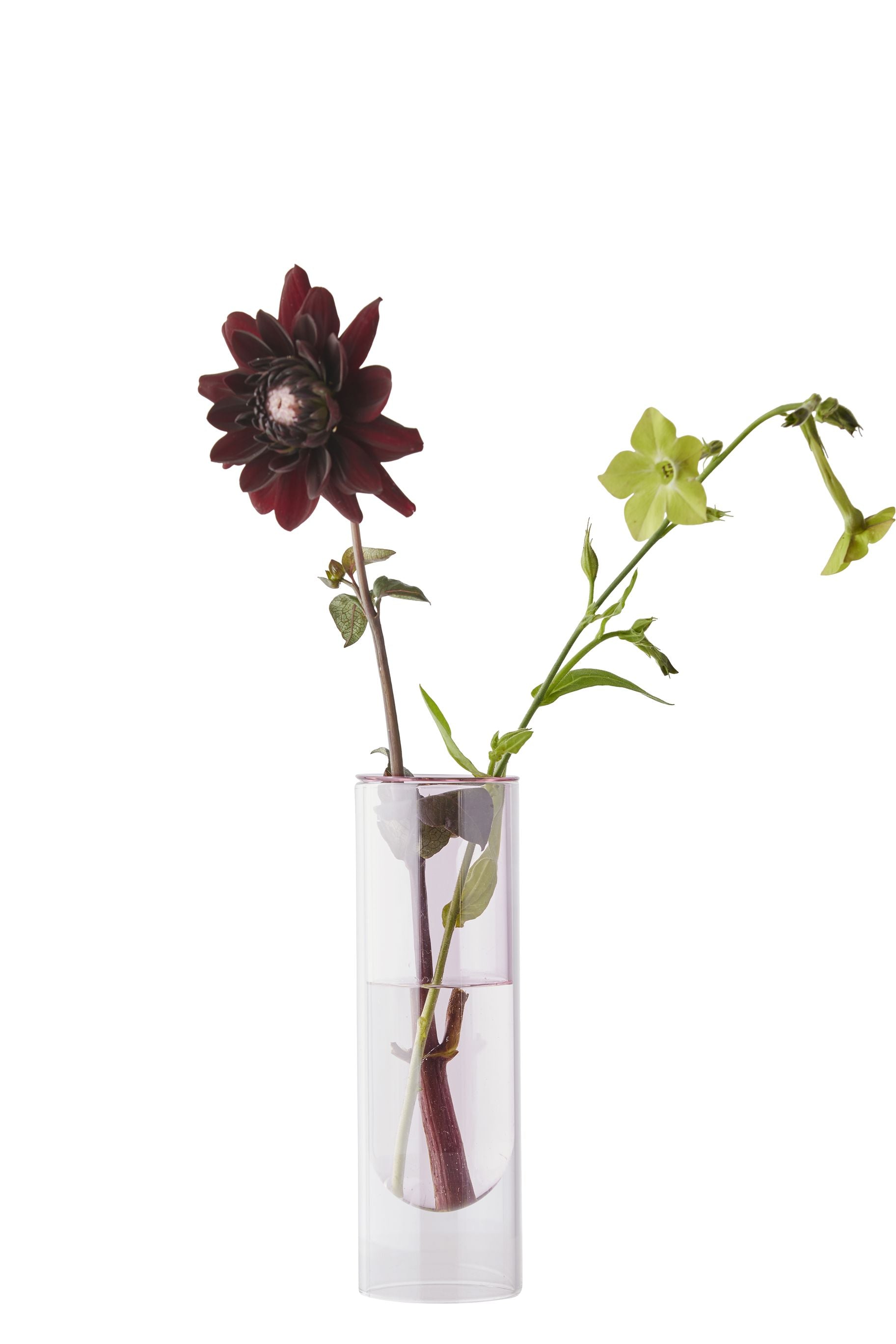 [product_category]-Studio About Flower Tube Vase 20 Cm, Rose-Studio About-5714356007075-65200R-STU-1