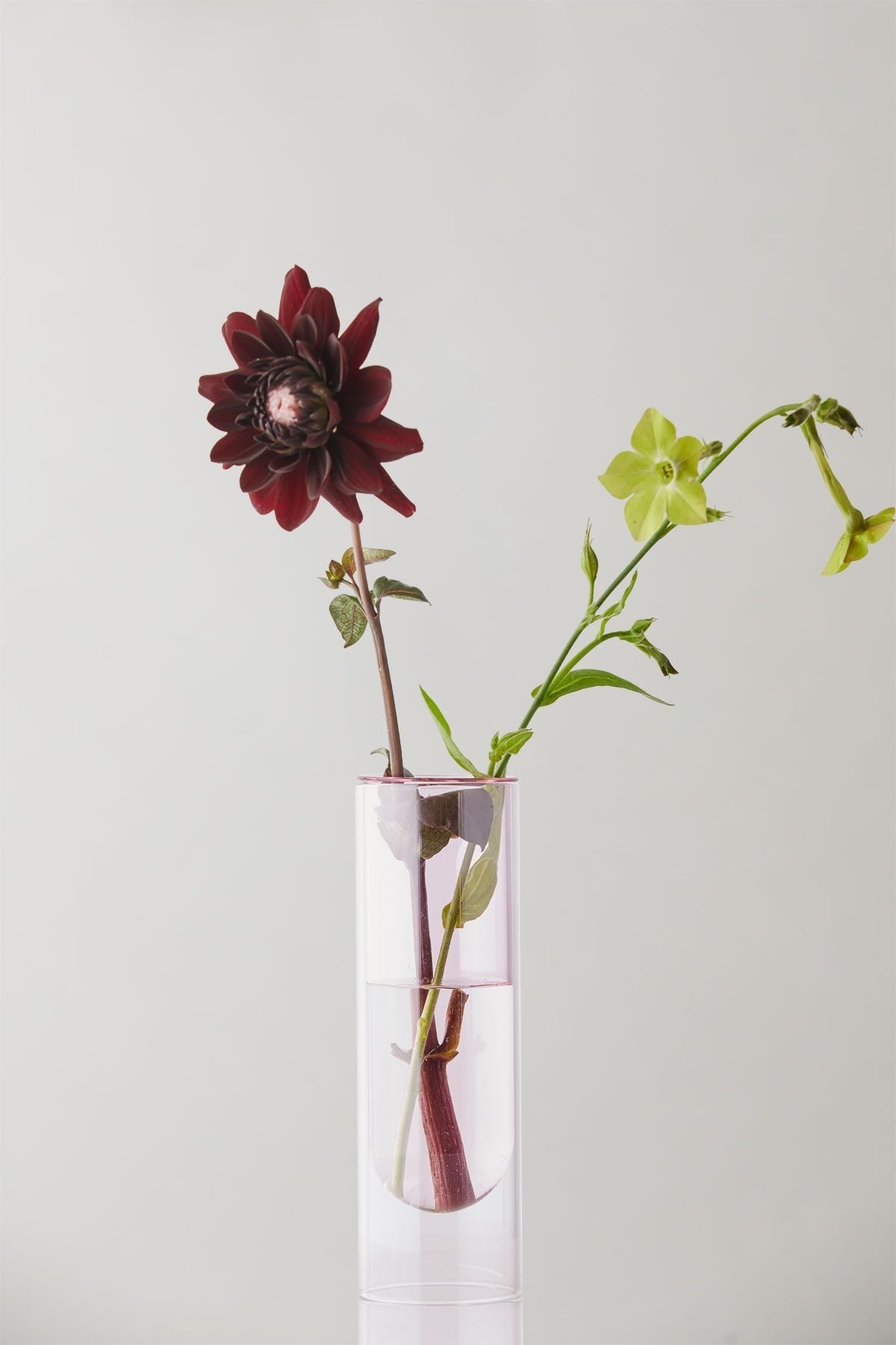 [product_category]-Studio About Flower Tube Vase 20 Cm, Rose-Studio About-5714356007075-65200R-STU-2