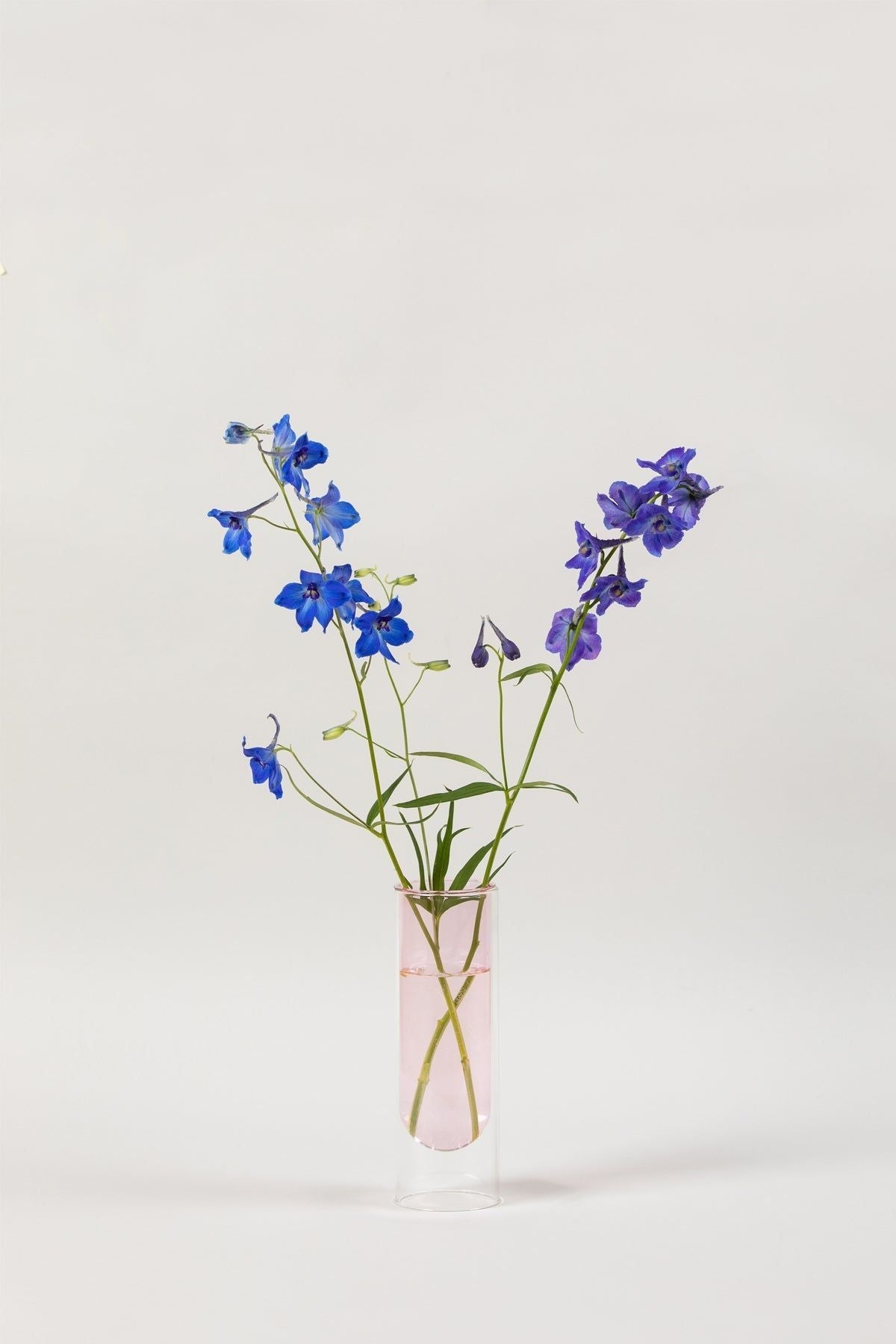 [product_category]-Studio About Flower Tube Vase 20 Cm, Rose-Studio About-5714356007075-65200R-STU-3