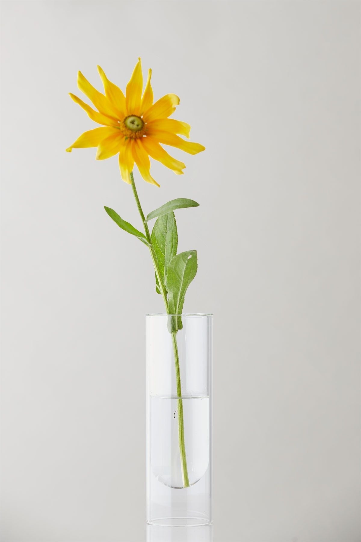 [product_category]-Studio About Flower Tube Vase 20 Cm, Transparent-Studio About-5714356007037-65200T-STU-5