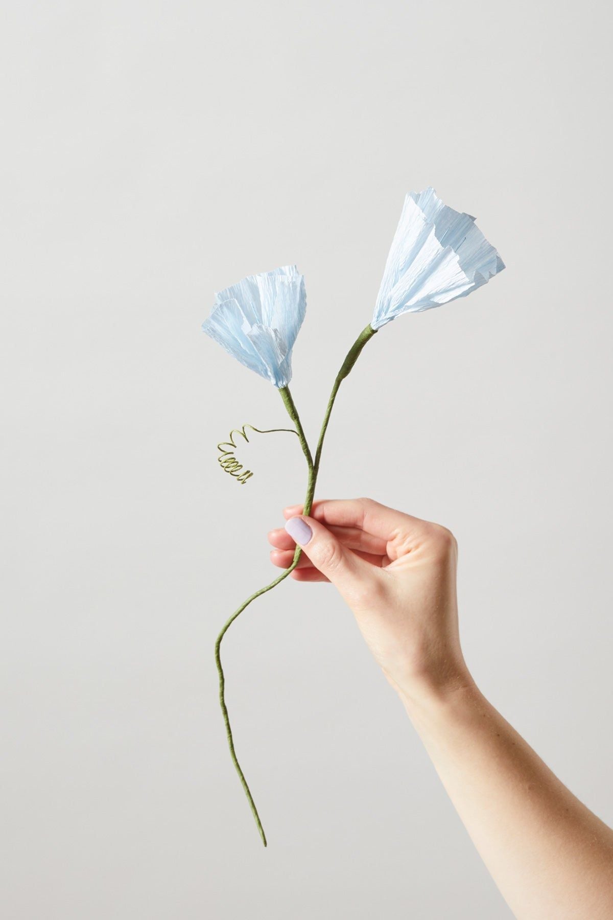 [product_category]-Studio About Paper Flower Morning Glory, Blue-Studio About-5714356014172-80430B-STU-6