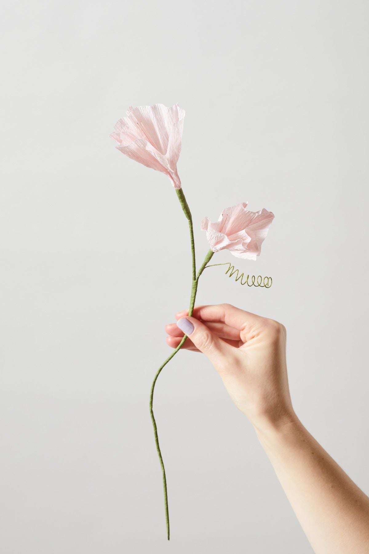[product_category]-Studio About Paper Flower Morning Glory, Rose-Studio About-5714356014165-80430R-STU-2